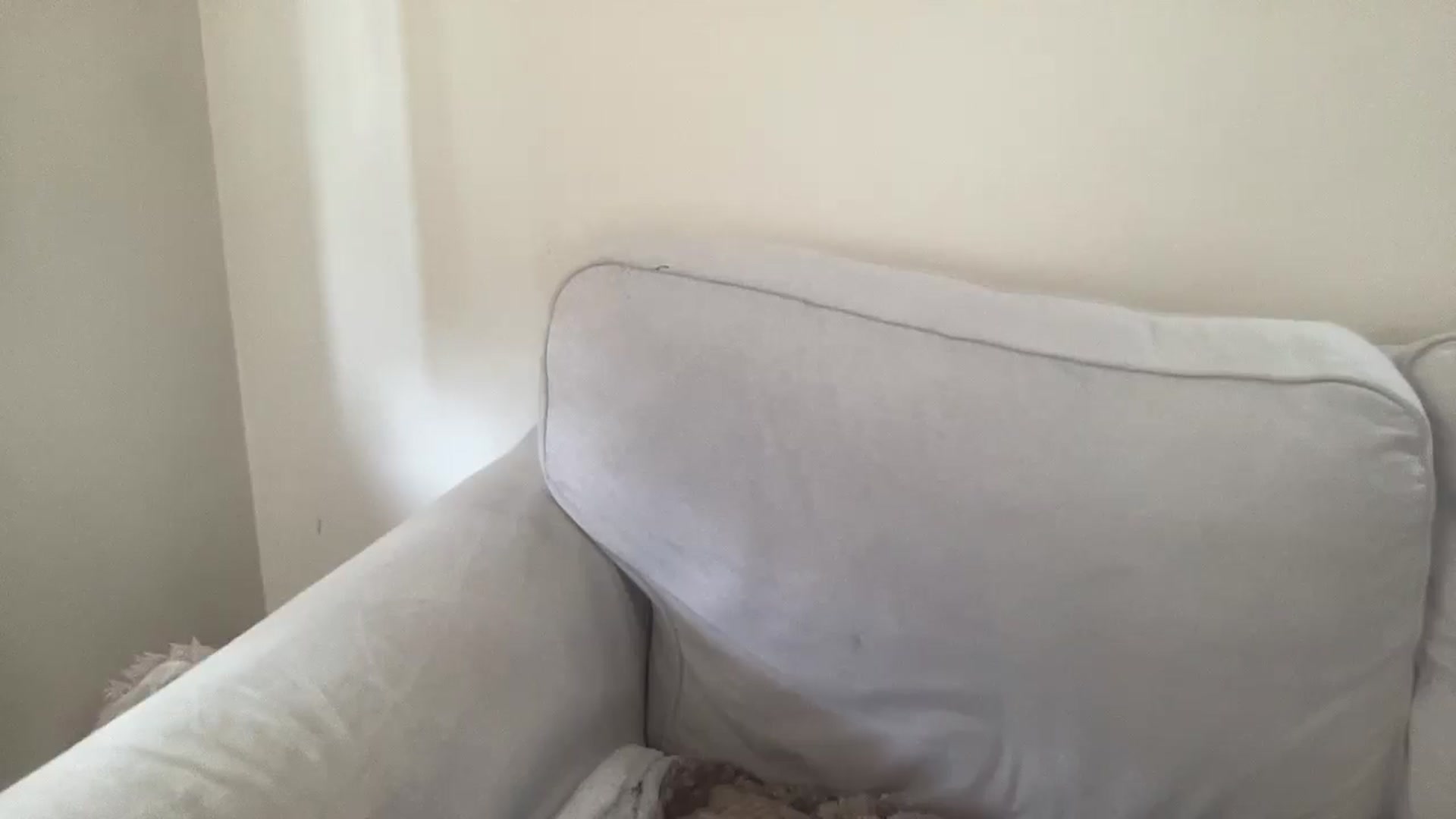 Gallery image thumbnail from Cutiexxxx's myfreecams stream on, 08/28/2025, 10:29 image 2 of 20