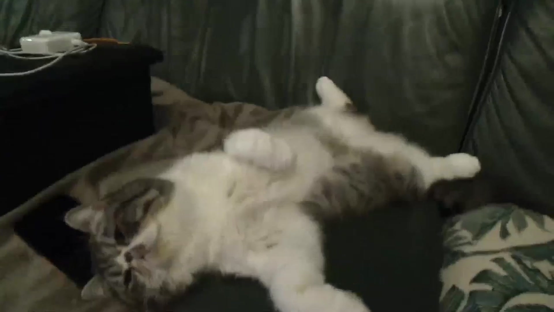 Gallery image thumbnail from CyberK_'s myfreecams stream on, 01/05/2024, 20:50 image 17 of 20