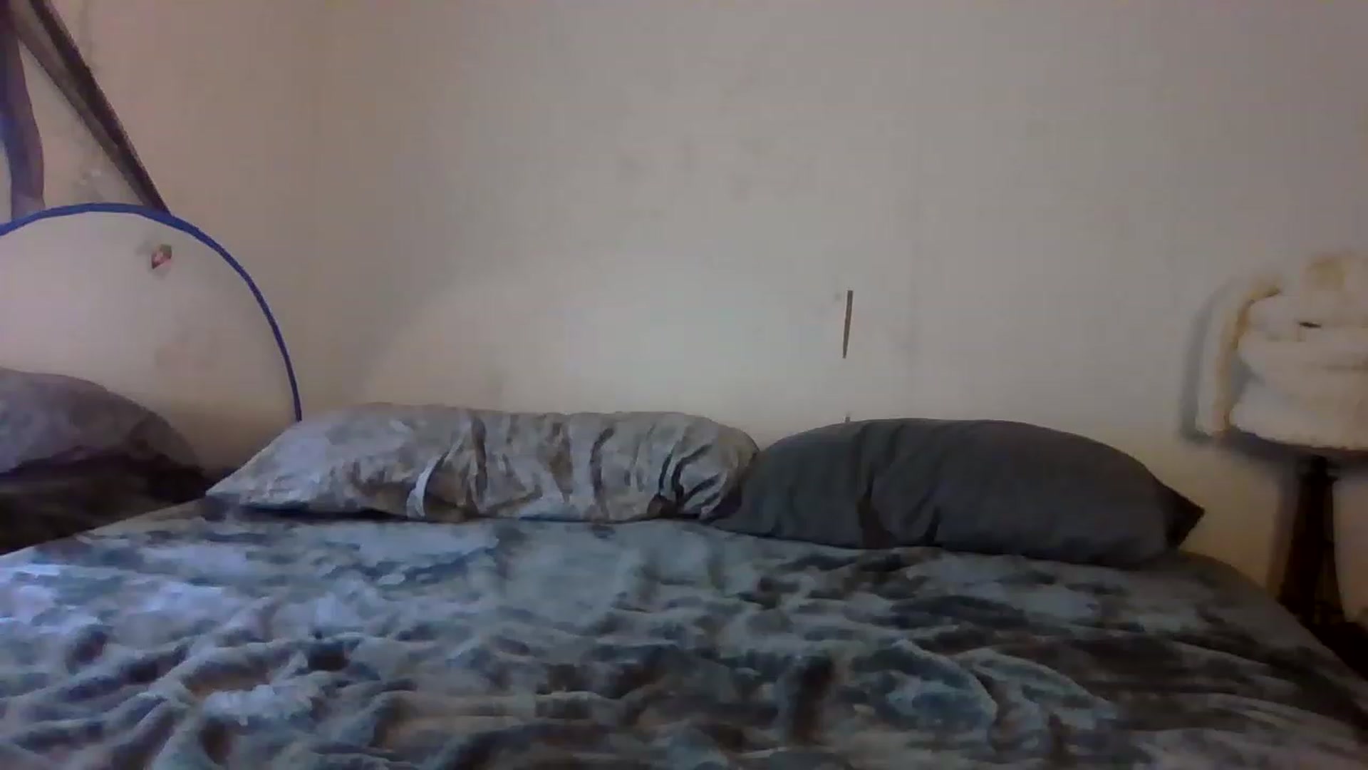 Gallery image thumbnail from Cynbunz's myfreecams stream on, 03/02/2023, 17:53 image 10 of 20