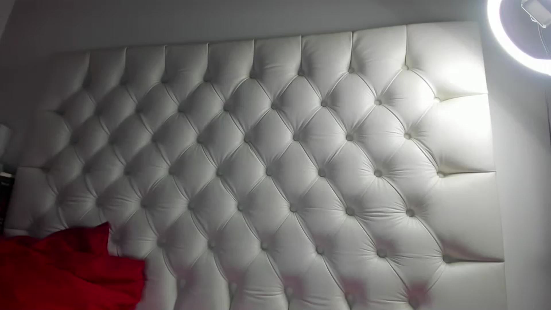 Gallery image thumbnail from DANIELLE's myfreecams stream on, 09/22/2024, 07:24 image 19 of 20