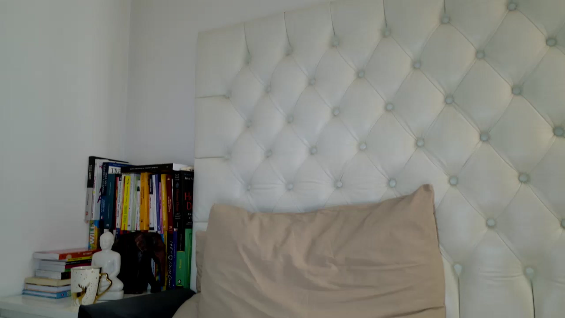 Gallery image thumbnail from DANIELLE's myfreecams stream on, 12/31/2024, 07:19 image 12 of 20