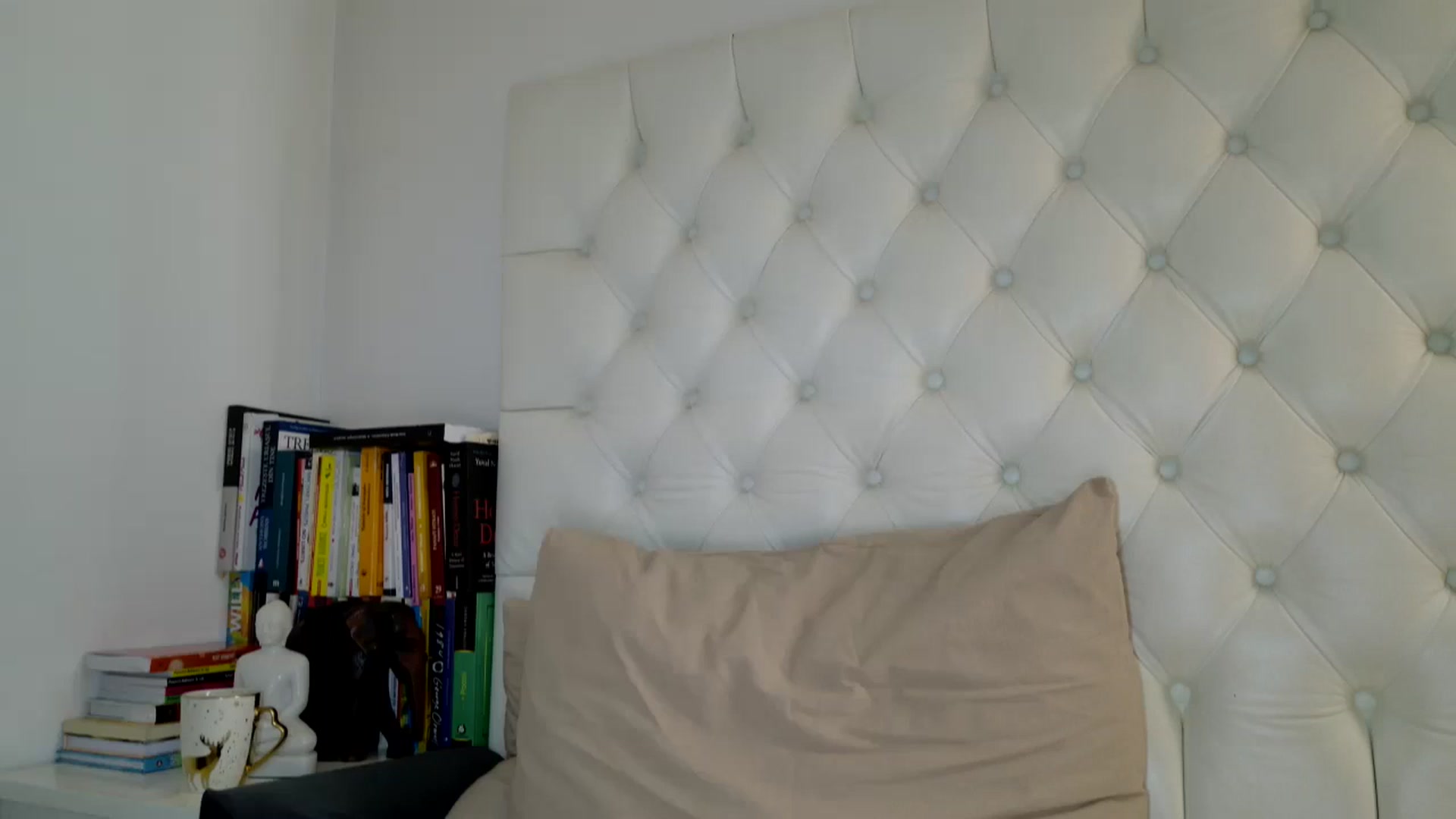 Gallery image thumbnail from DANIELLE's myfreecams stream on, 12/31/2024, 07:19 image 16 of 20