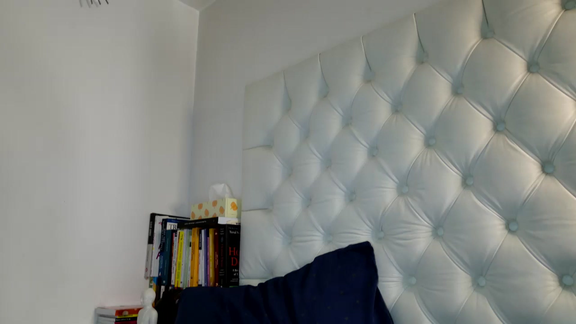 Gallery image thumbnail from DANIELLE's myfreecams stream on, 01/16/2025, 06:50 image 2 of 20