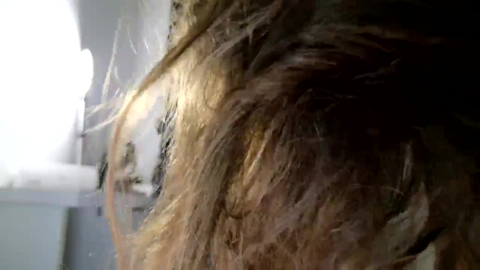 Gallery image thumbnail from DANIELLE's myfreecams stream on, 04/07/2025, 09:21 image 14 of 20