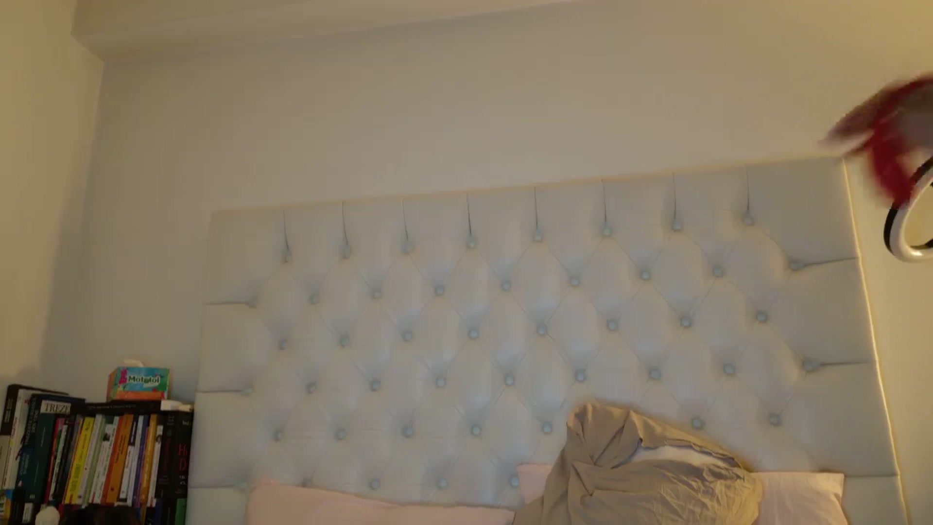 Gallery image thumbnail from DANIELLE's myfreecams stream on, 04/26/2025, 11:02 image 16 of 20