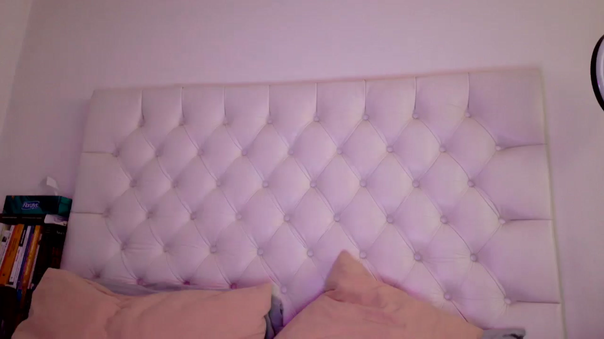 Gallery image thumbnail from DANIELLE's myfreecams stream on, 10/20/2025, 10:38 image 7 of 20