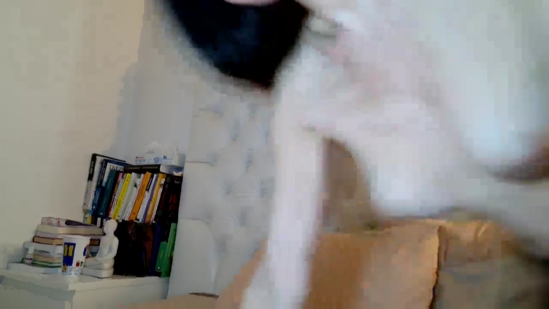 Gallery image thumbnail from DANIELLE's myfreecams stream on, 03/22/2026, 09:50 image 19 of 20