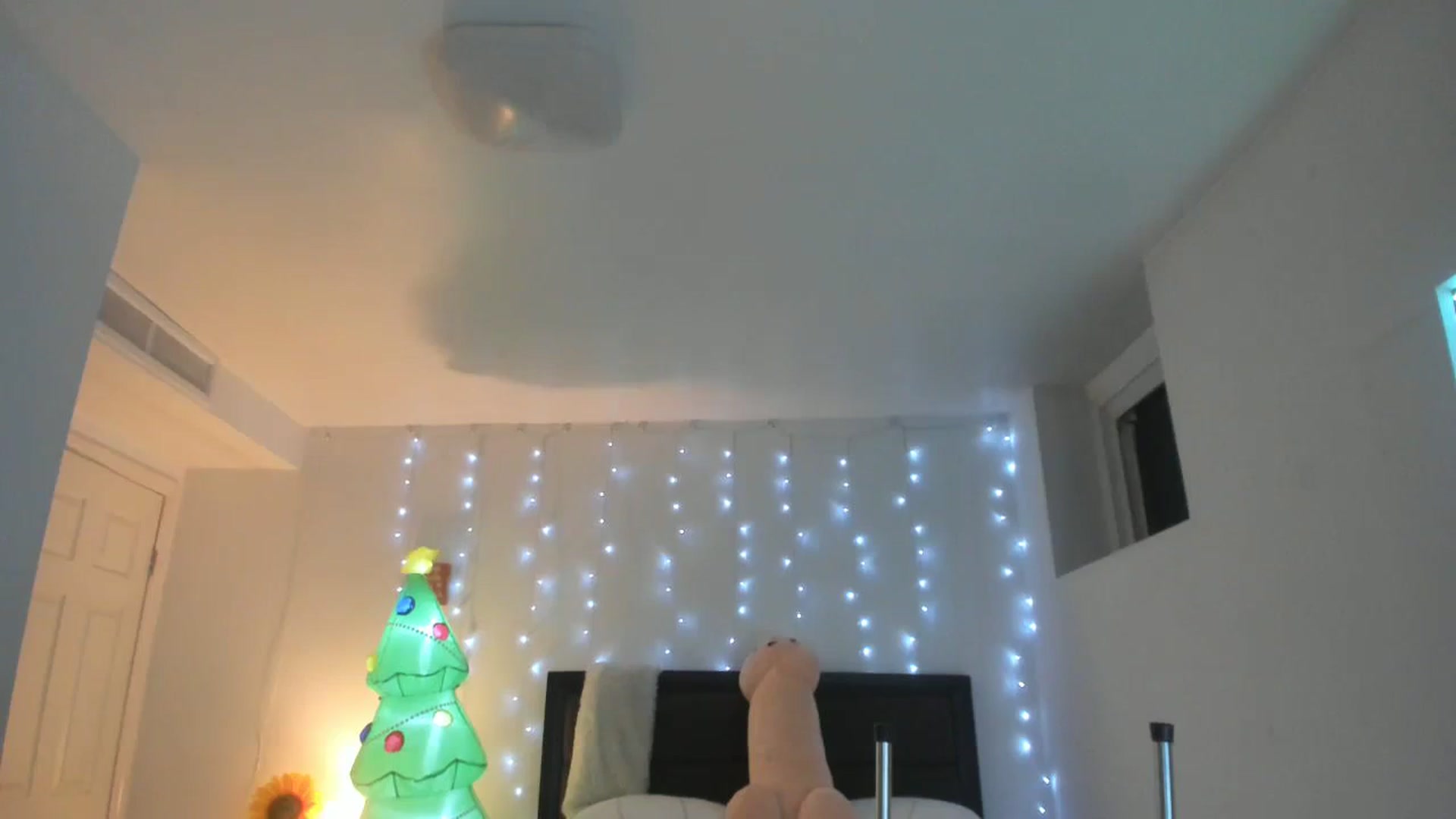 Gallery image thumbnail from DANIIITITIS's myfreecams stream on, 11/20/2023, 11:27 image 19 of 20
