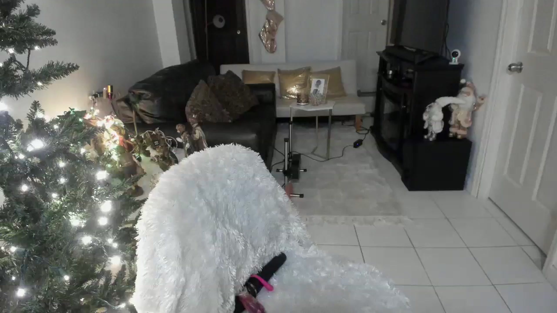Gallery image thumbnail from DANIIITITIS's myfreecams stream on, 11/27/2023, 09:39 image 19 of 20
