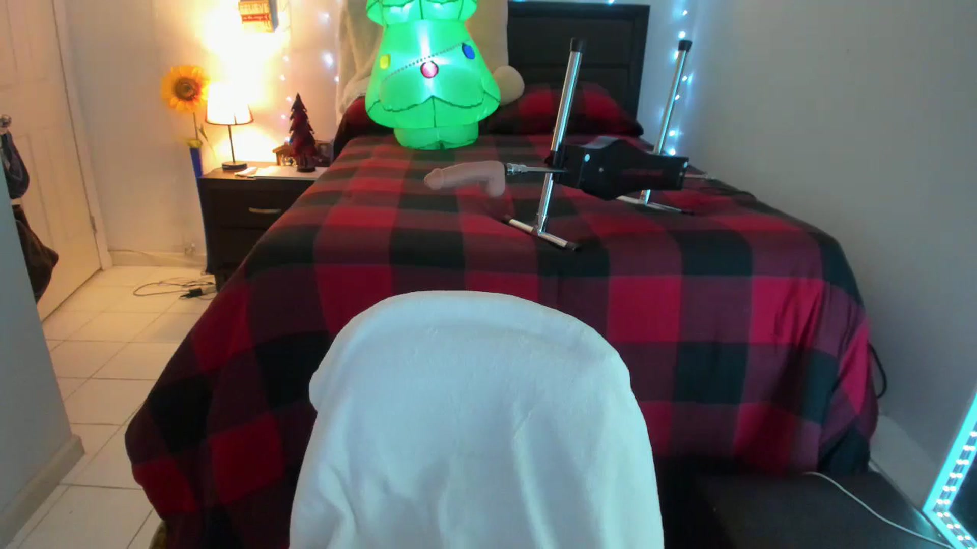 Gallery image thumbnail from DANIIITITIS's myfreecams stream on, 12/01/2023, 12:29 image 19 of 20