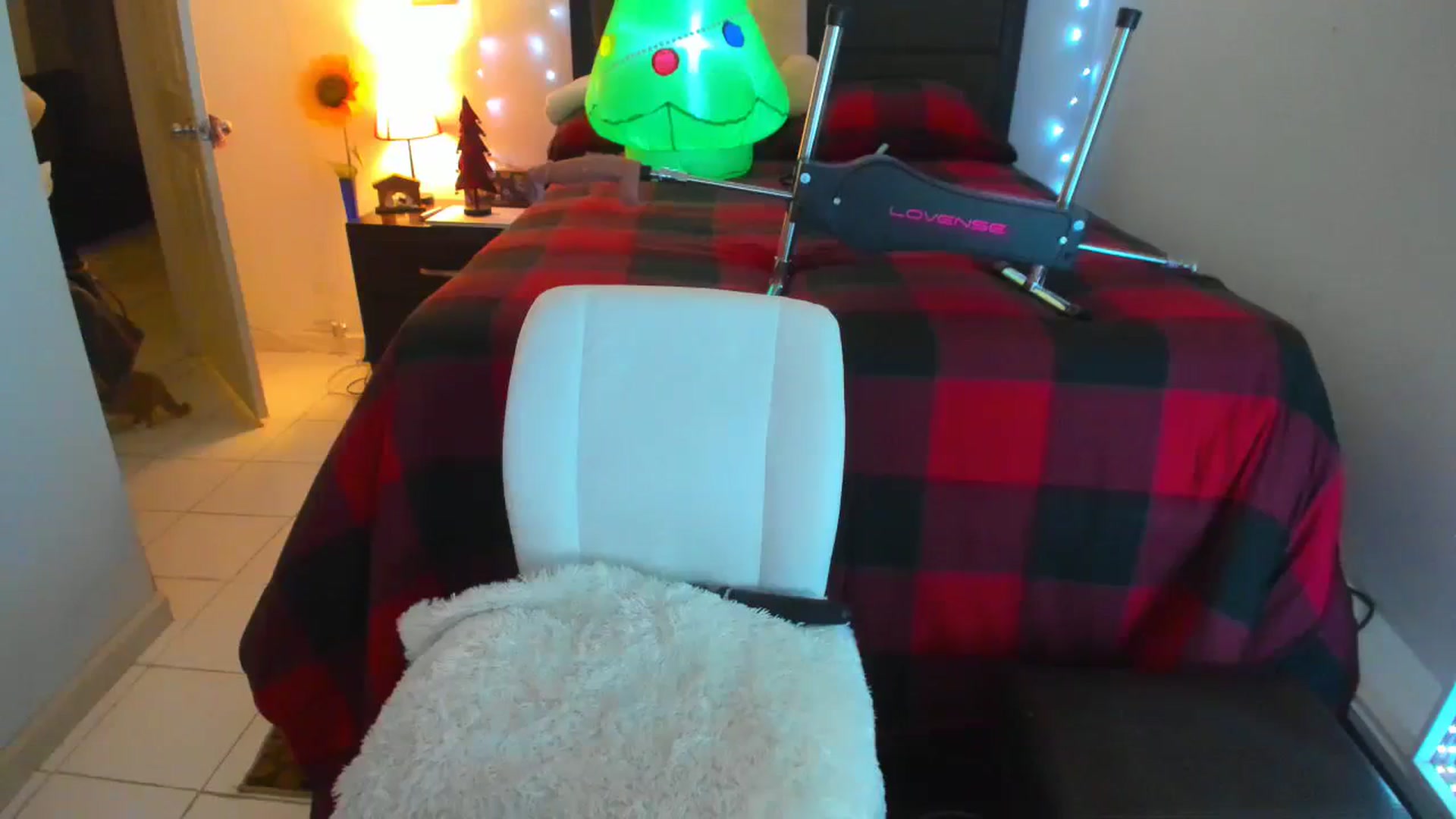 Gallery image thumbnail from DANIIITITIS's myfreecams stream on, 12/09/2023, 12:42 image 8 of 20