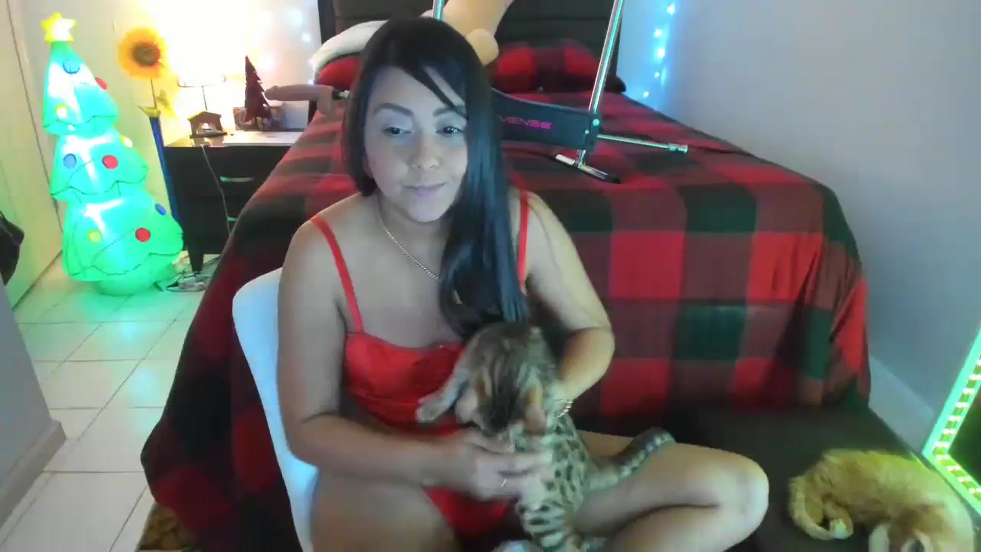 Gallery image thumbnail from DANIIITITIS's myfreecams stream on, 12/15/2023, 14:18 image 20 of 20