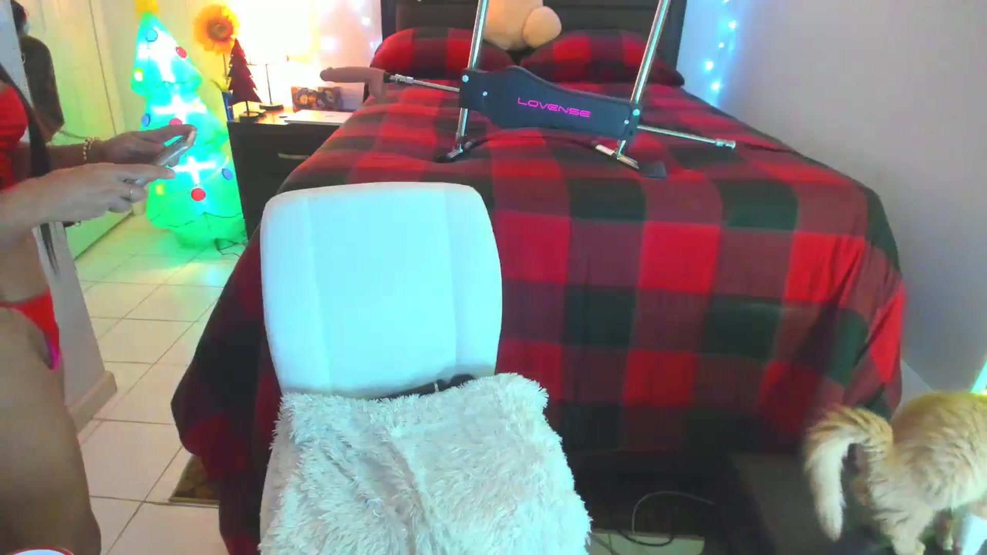 Gallery image thumbnail from DANIIITITIS's myfreecams stream on, 12/22/2023, 09:52 image 7 of 20