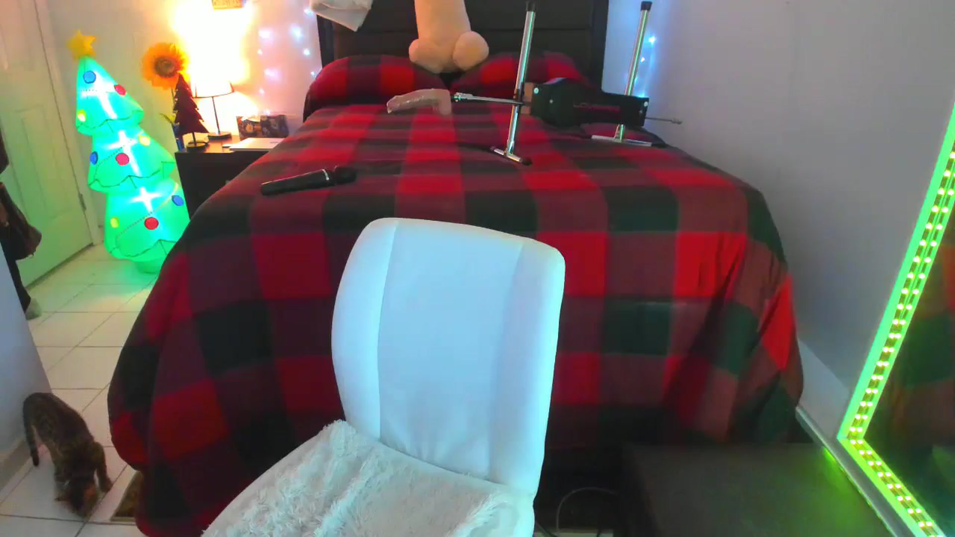 Gallery image thumbnail from DANIIITITIS's myfreecams stream on, 12/22/2023, 13:12 image 15 of 20
