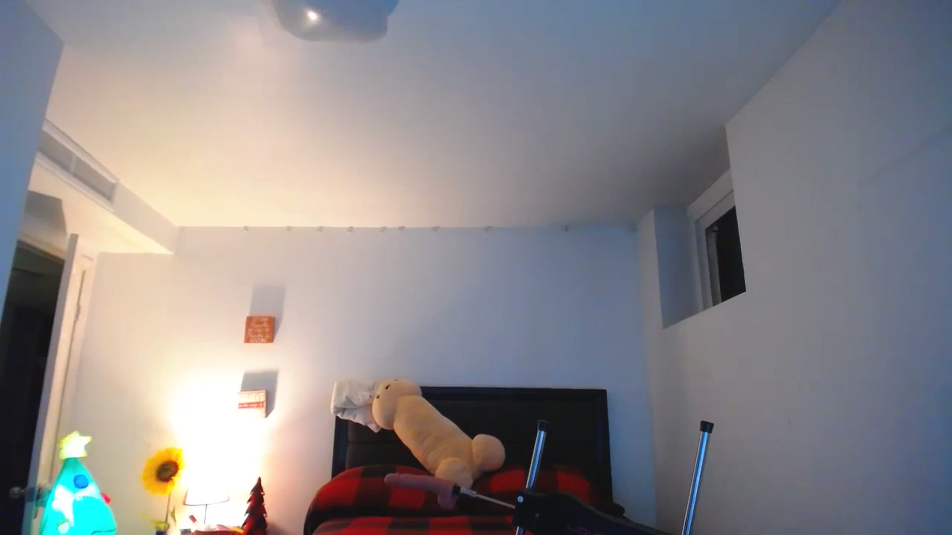 Gallery image thumbnail from DANIIITITIS's myfreecams stream on, 12/27/2023, 15:45 image 12 of 20