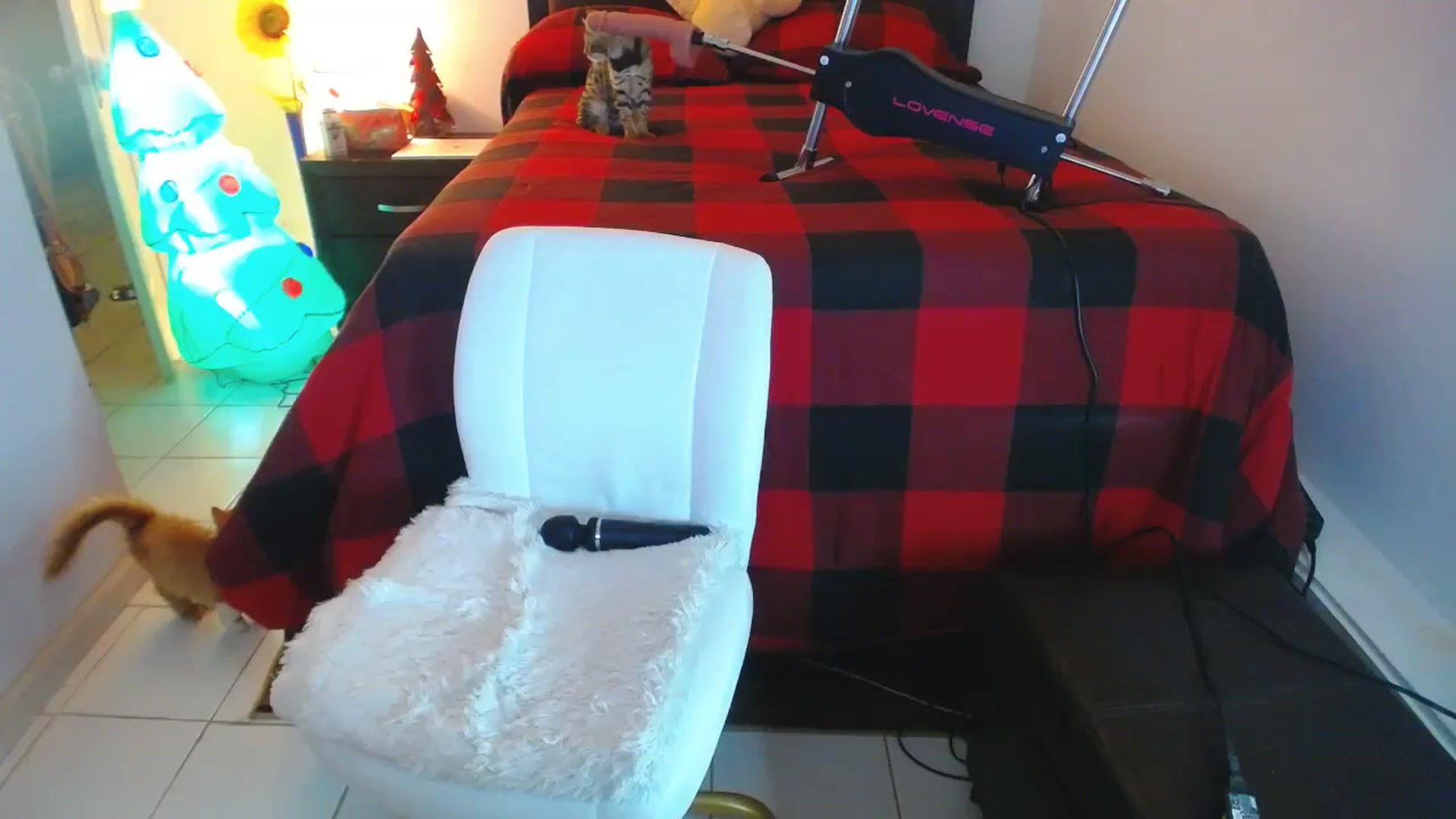 Gallery image thumbnail from DANIIITITIS's myfreecams stream on, 12/27/2023, 15:45 image 10 of 20