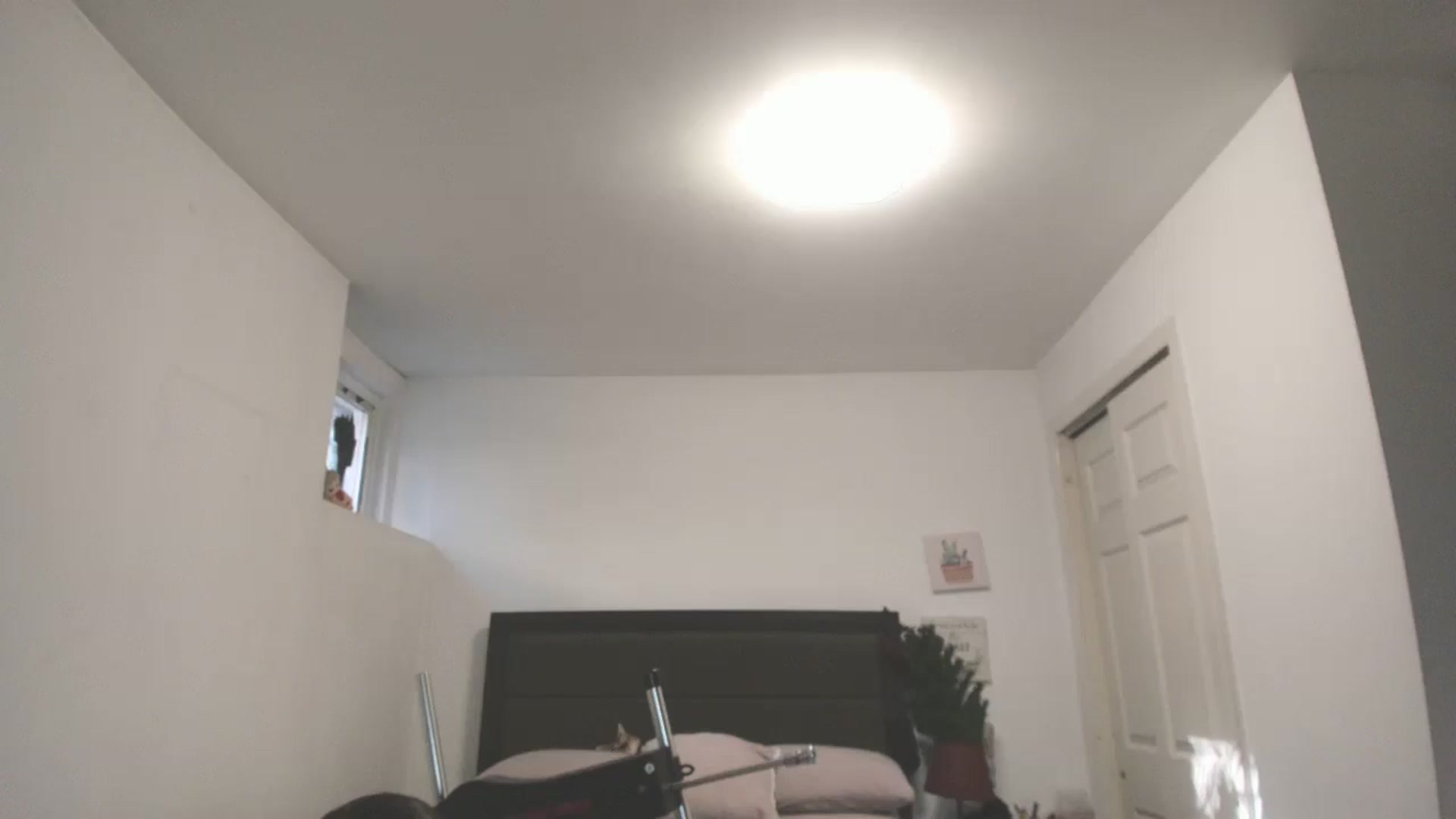 Gallery image thumbnail from DANIIITITIS's myfreecams stream on, 12/01/2025, 16:16 image 16 of 20
