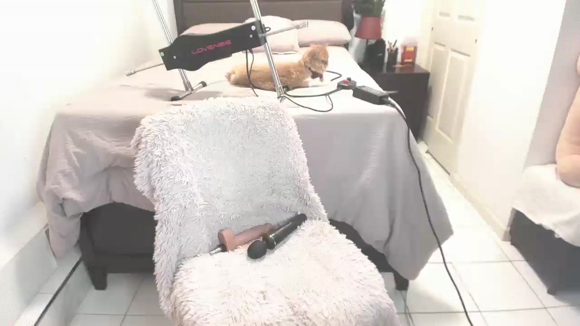Gallery image thumbnail from DANIIITITIS's myfreecams stream on, 12/02/2025, 12:07 image 18 of 20
