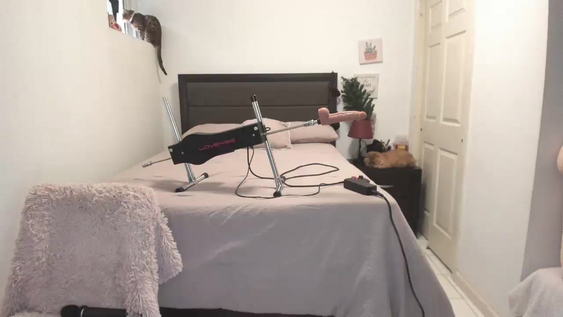 Gallery image thumbnail from DANIIITITIS's myfreecams stream on, 12/04/2025, 15:12 image 20 of 20