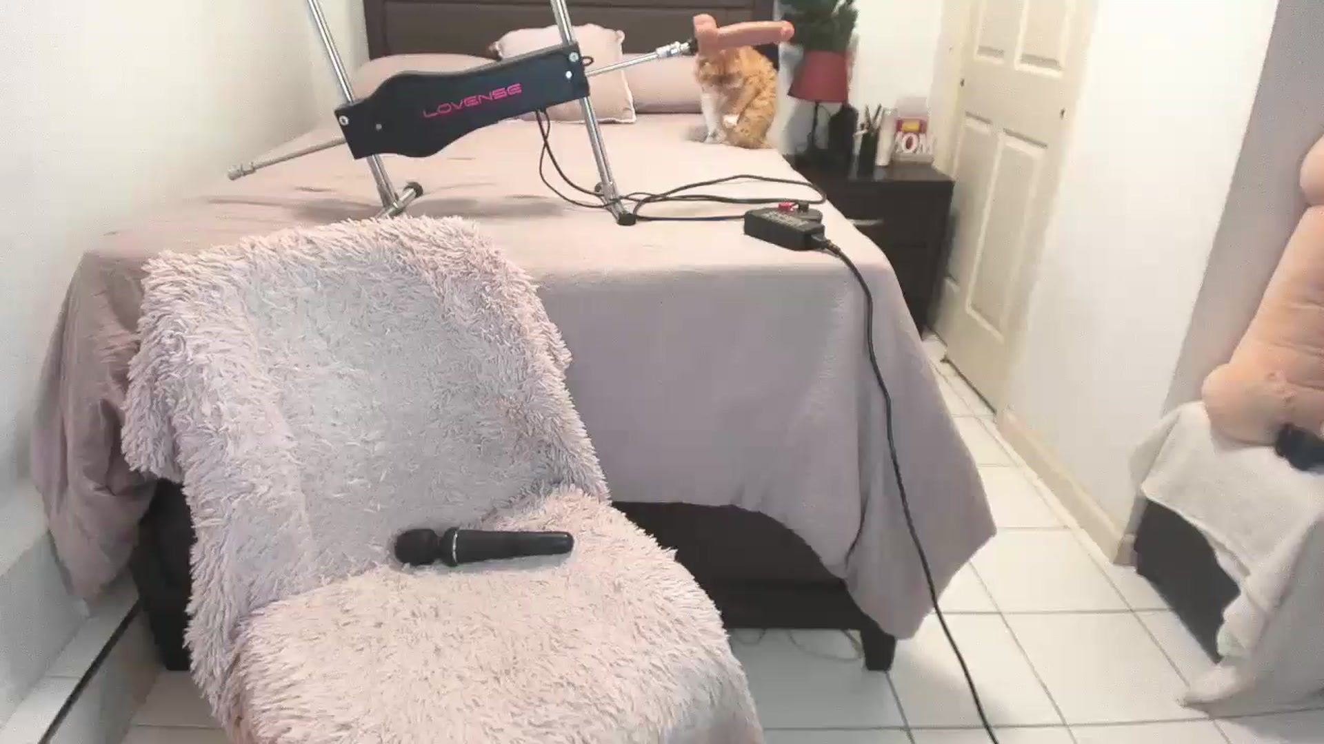 Gallery image thumbnail from DANIIITITIS's myfreecams stream on, 12/06/2025, 18:34 image 20 of 20