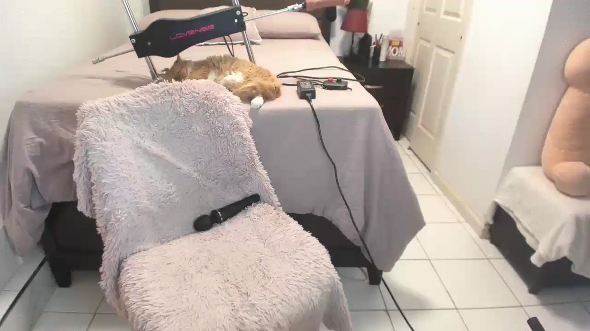 Gallery image thumbnail from DANIIITITIS's myfreecams stream on, 12/07/2025, 14:08 image 14 of 20