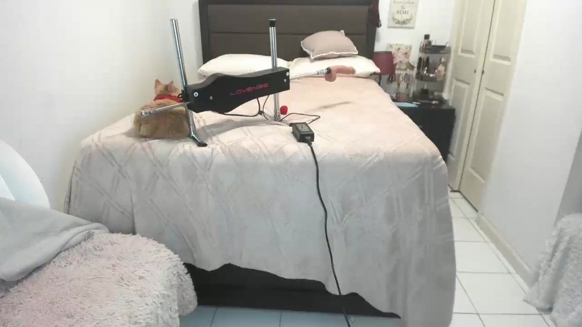Gallery image thumbnail from DANIIITITIS's myfreecams stream on, 12/25/2025, 15:39 image 1 of 20