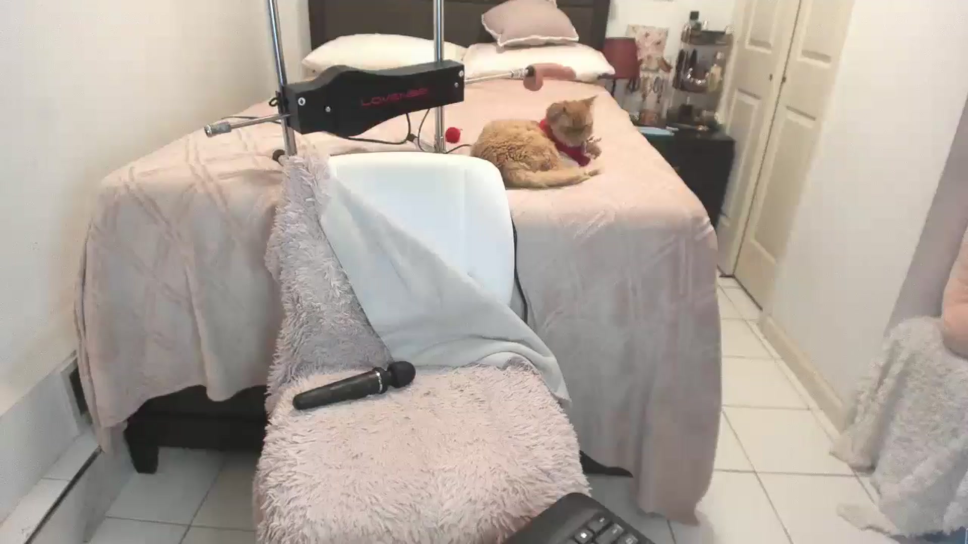 Gallery image thumbnail from DANIIITITIS's myfreecams stream on, 12/25/2025, 15:39 image 5 of 20