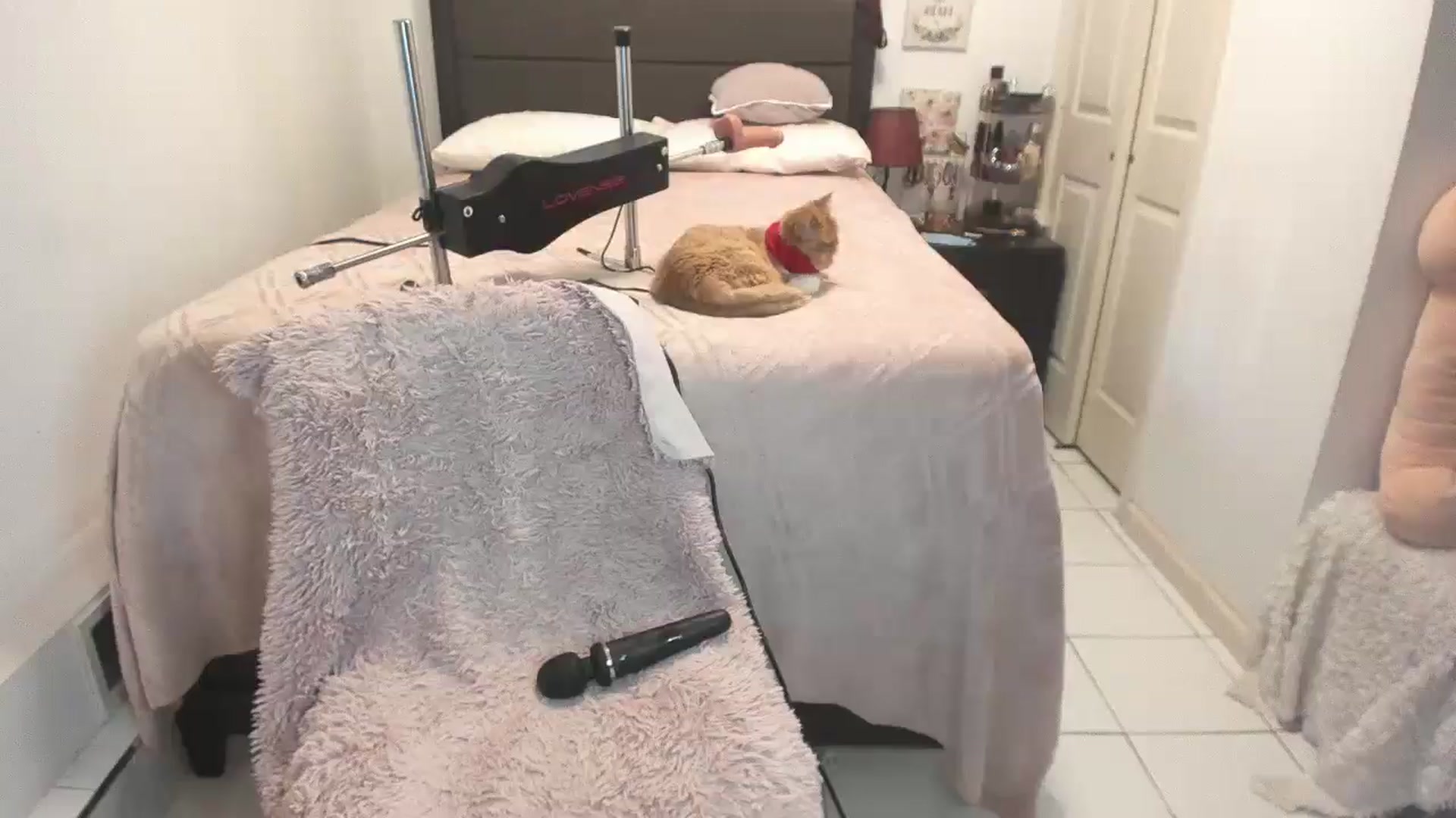 Gallery image thumbnail from DANIIITITIS's myfreecams stream on, 12/25/2025, 20:36 image 9 of 20