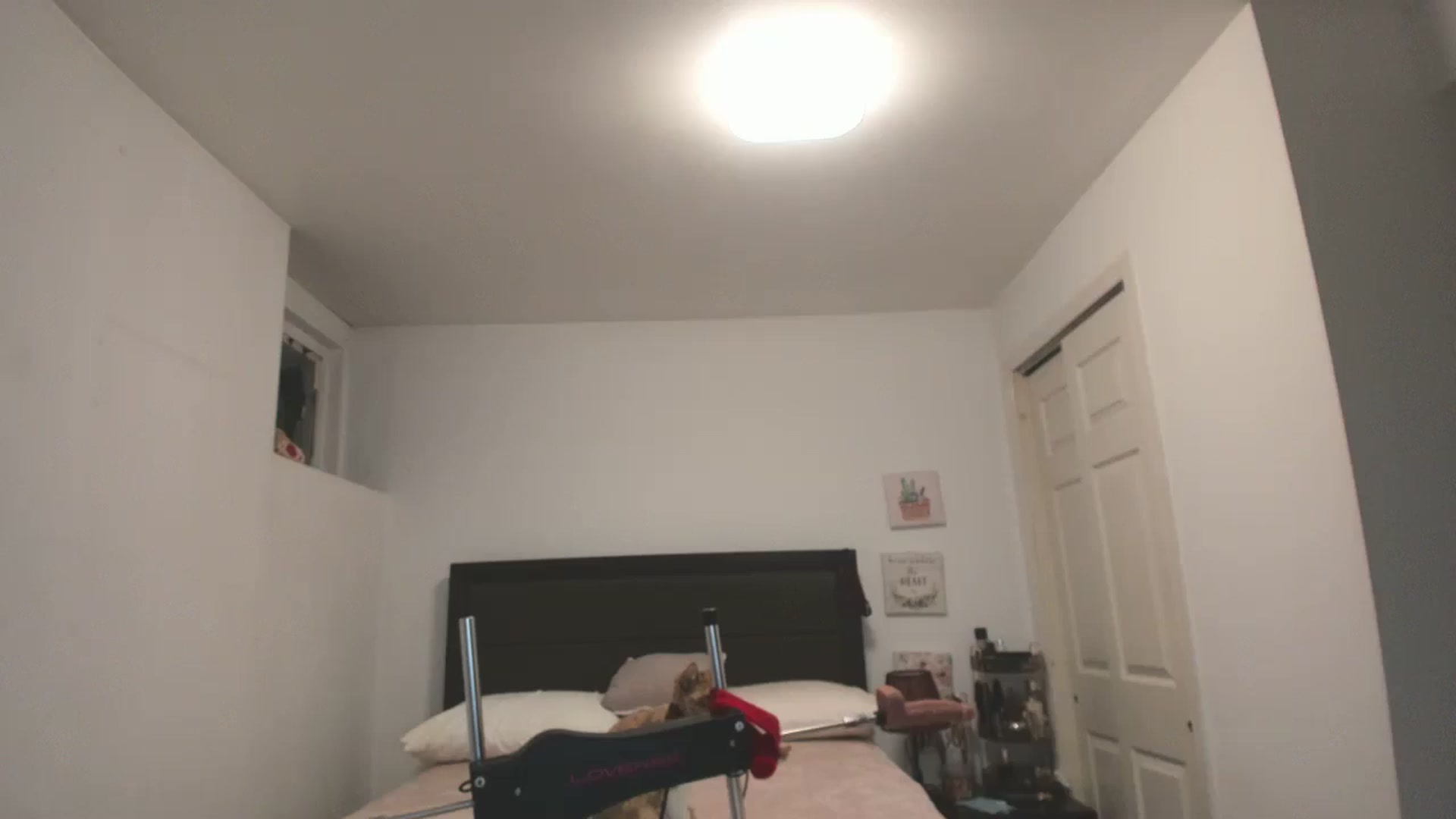 Gallery image thumbnail from DANIIITITIS's myfreecams stream on, 12/26/2025, 09:13 image 4 of 20