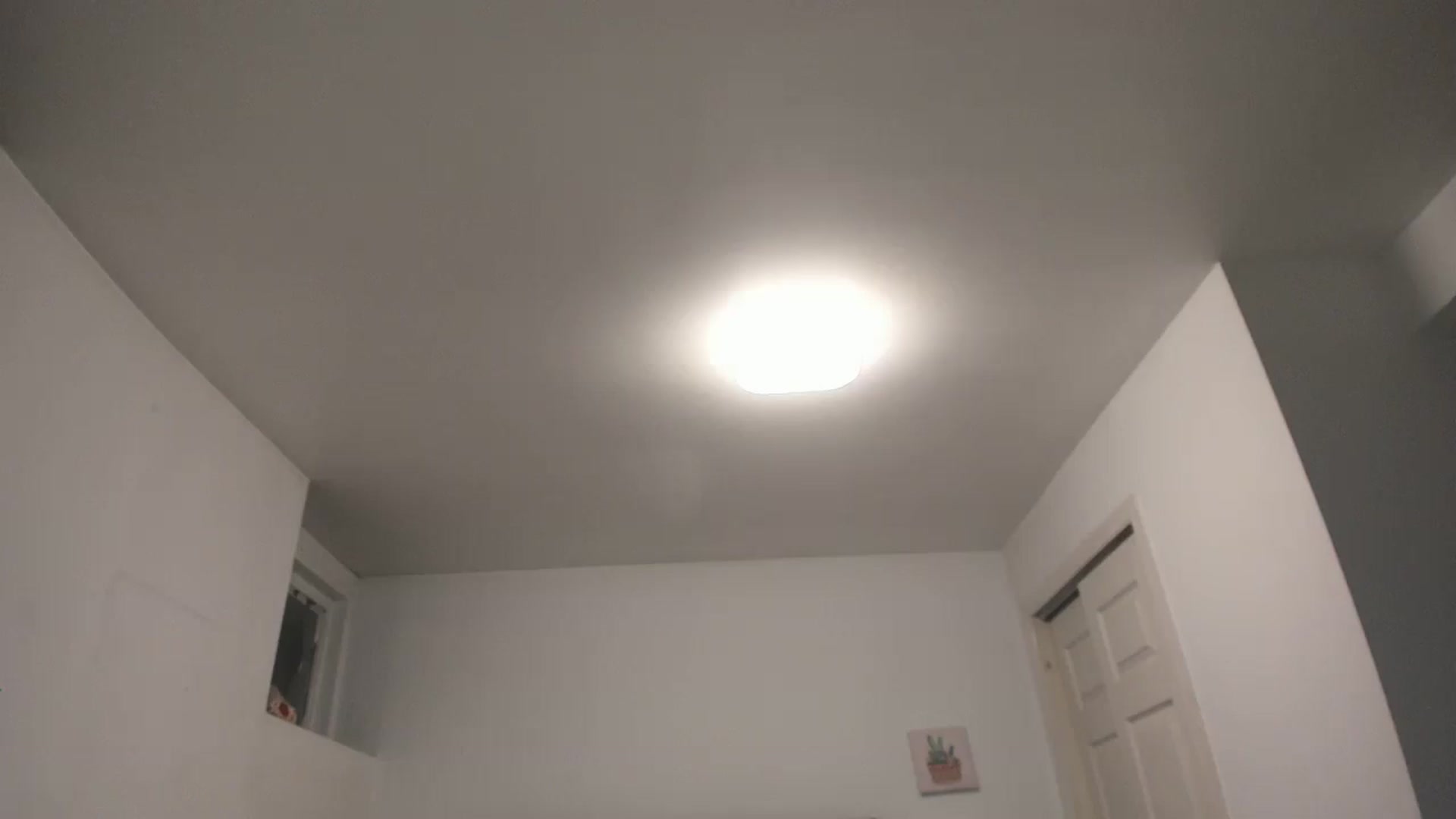Gallery image thumbnail from DANIIITITIS's myfreecams stream on, 12/26/2025, 09:13 image 11 of 20