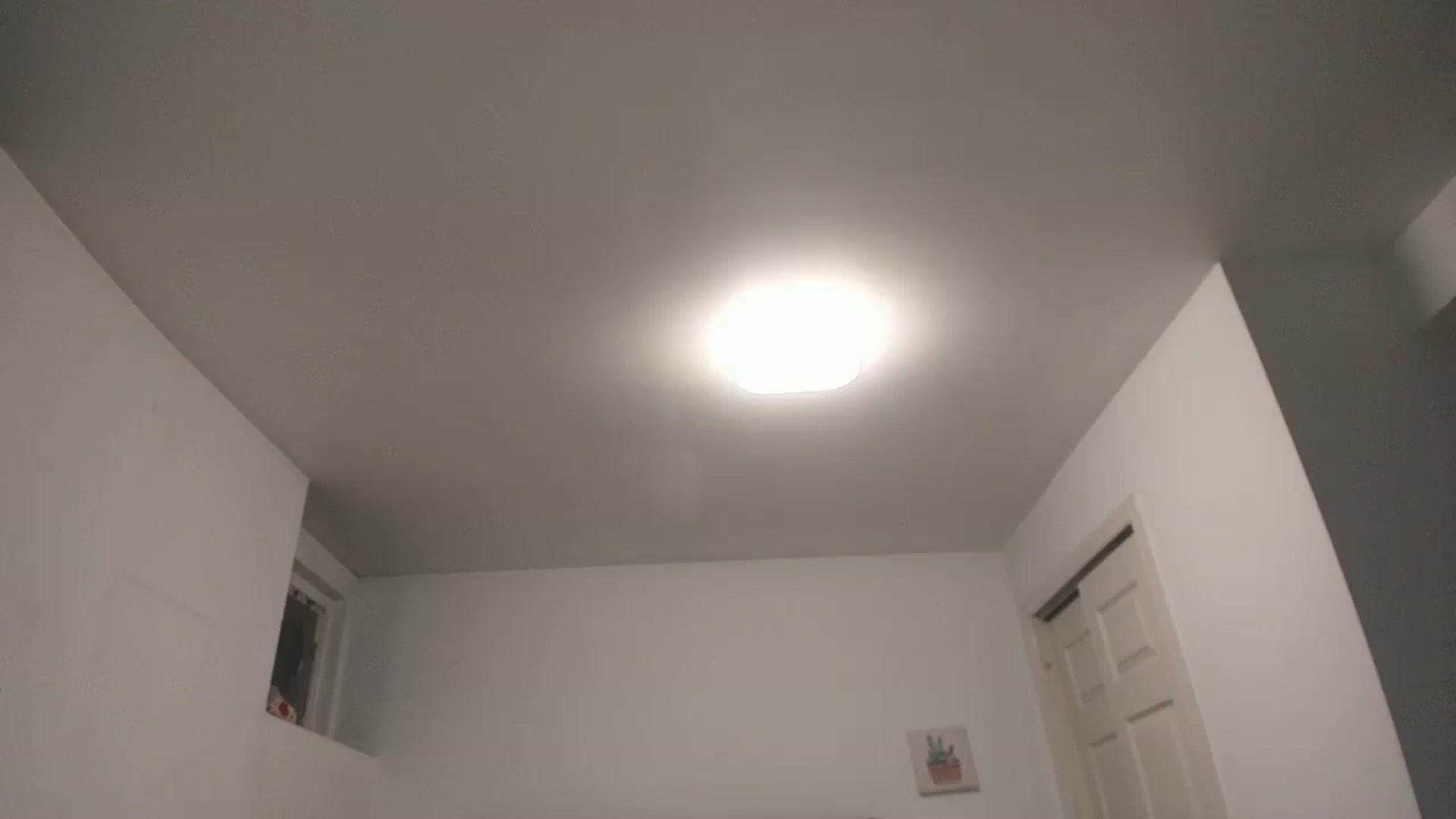 Gallery image thumbnail from DANIIITITIS's myfreecams stream on, 12/26/2025, 09:13 image 9 of 20