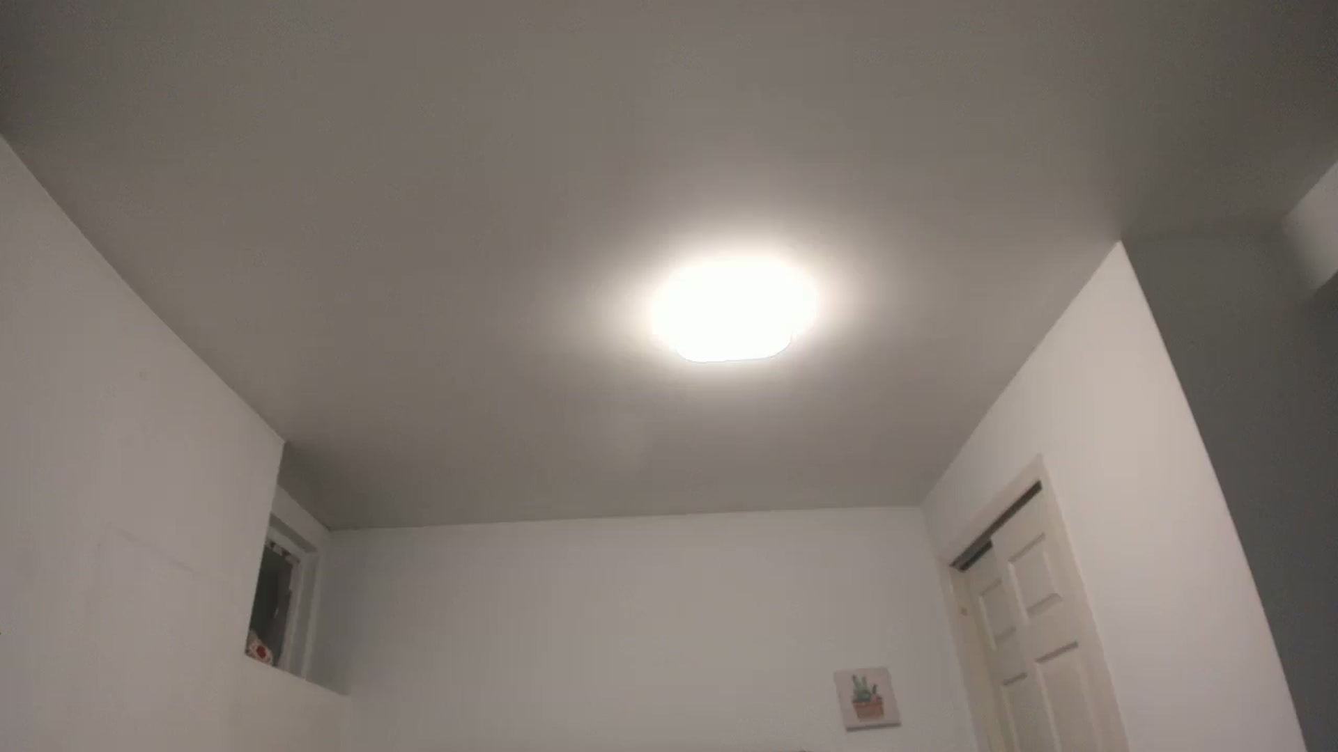 Gallery image thumbnail from DANIIITITIS's myfreecams stream on, 12/26/2025, 09:13 image 20 of 20