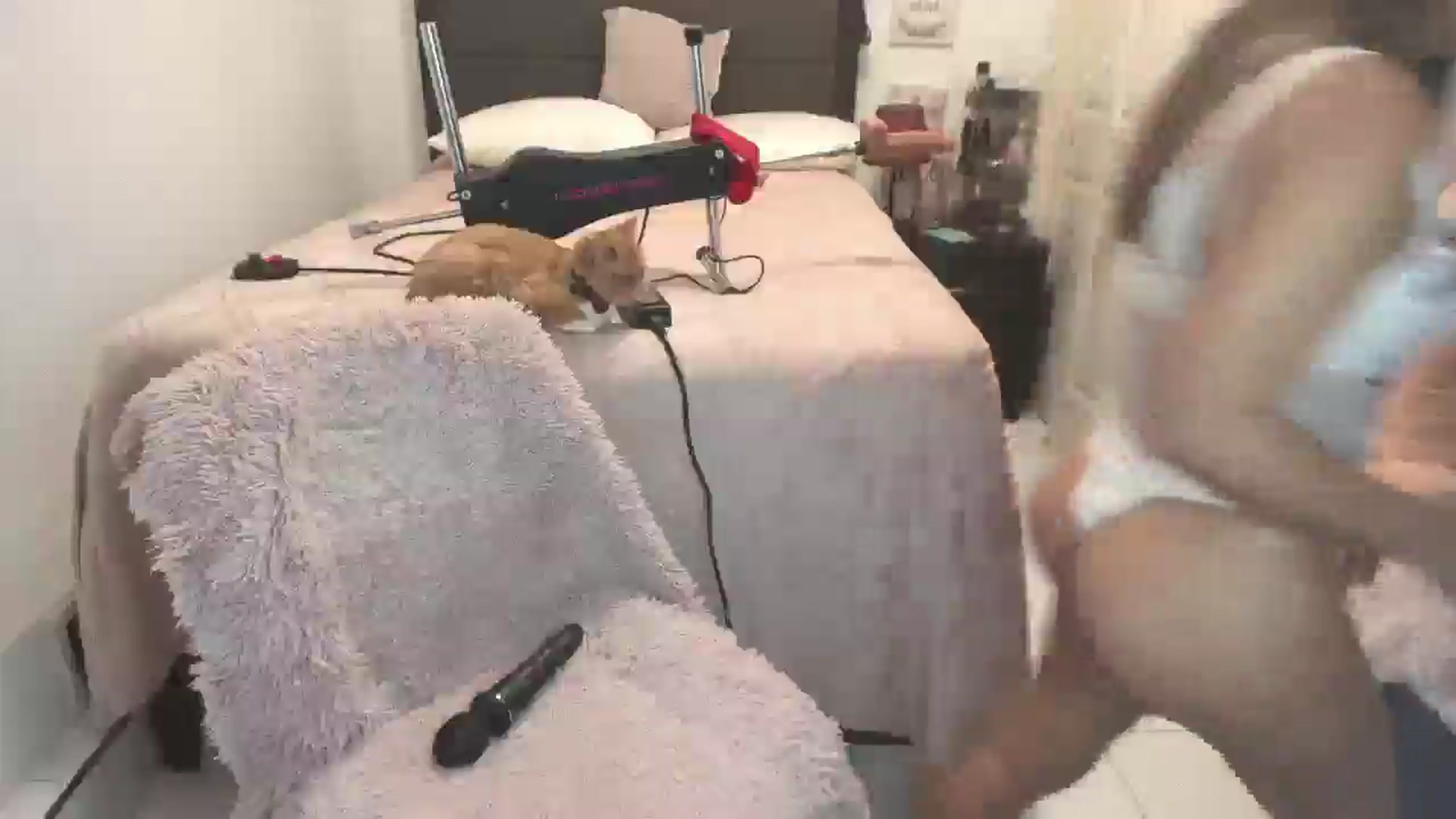 Gallery image thumbnail from DANIIITITIS's myfreecams stream on, 12/26/2025, 09:58 image 5 of 20