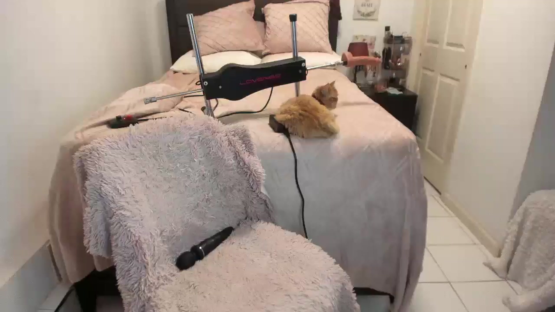 Gallery image thumbnail from DANIIITITIS's myfreecams stream on, 12/30/2025, 09:08 image 11 of 20