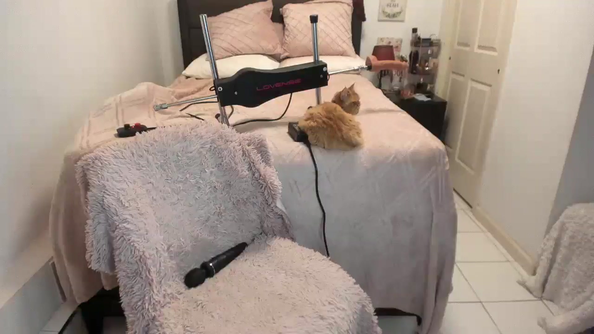 Gallery image thumbnail from DANIIITITIS's myfreecams stream on, 12/30/2025, 09:08 image 13 of 20