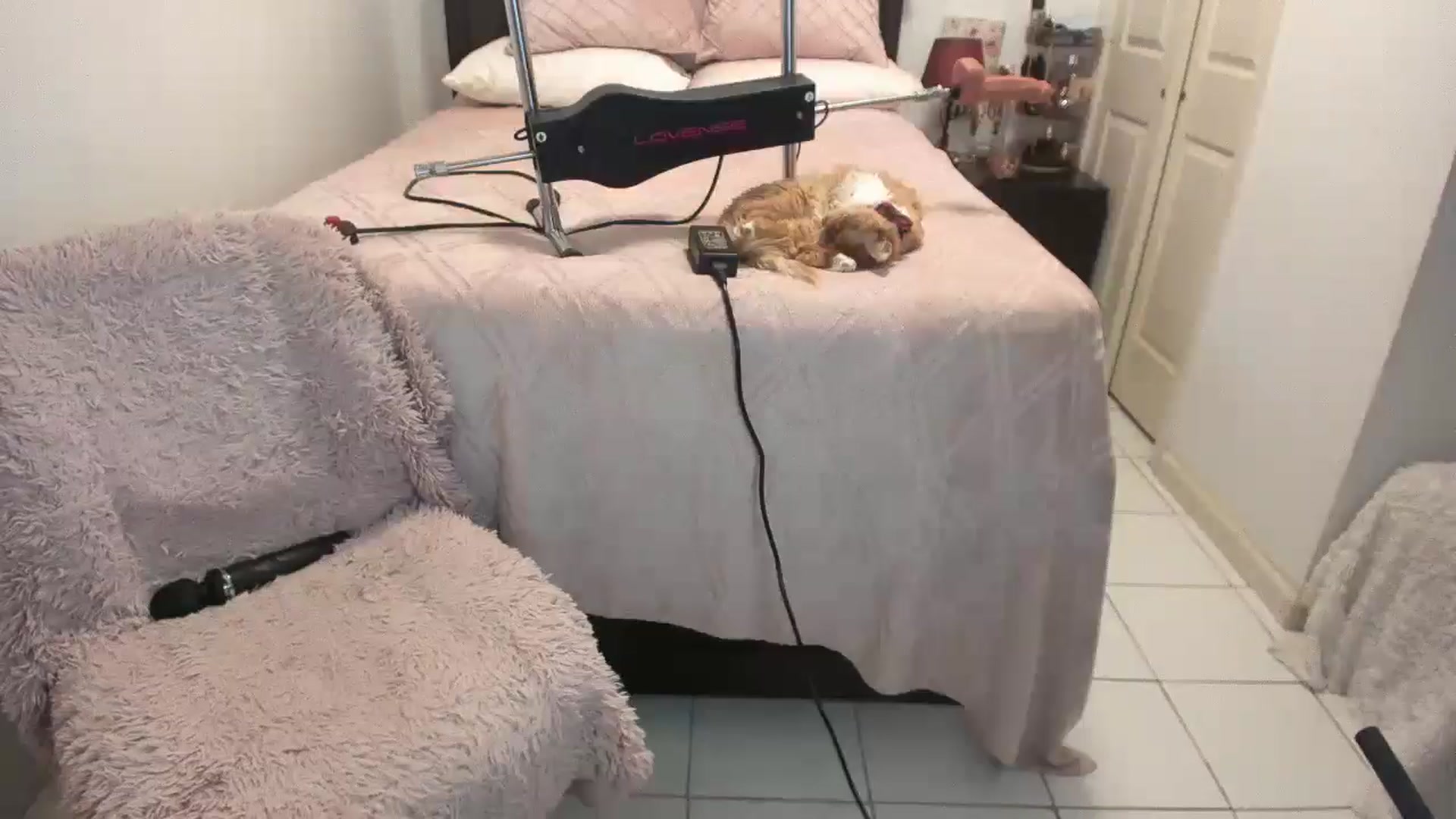Gallery image thumbnail from DANIIITITIS's myfreecams stream on, 12/30/2025, 16:59 image 20 of 20