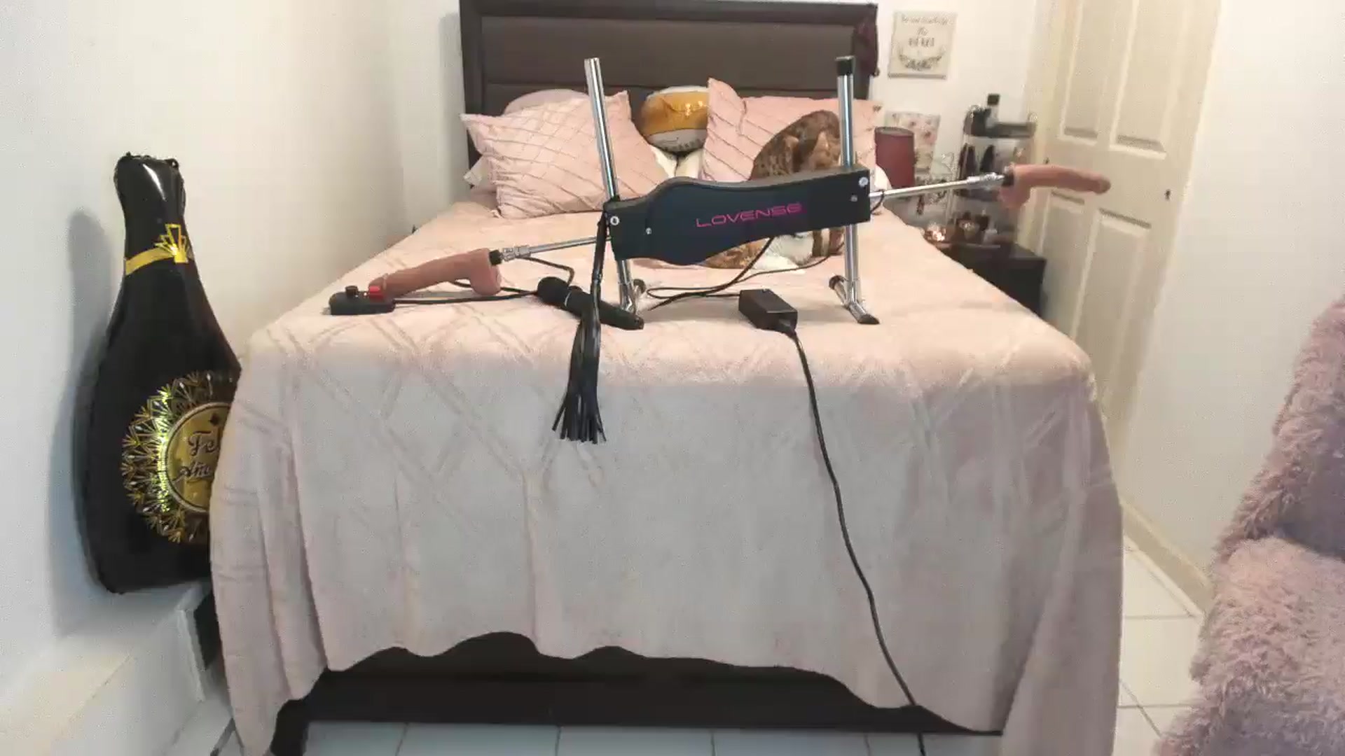 Gallery image thumbnail from DANIIITITIS's myfreecams stream on, 01/03/2026, 21:09 image 18 of 20