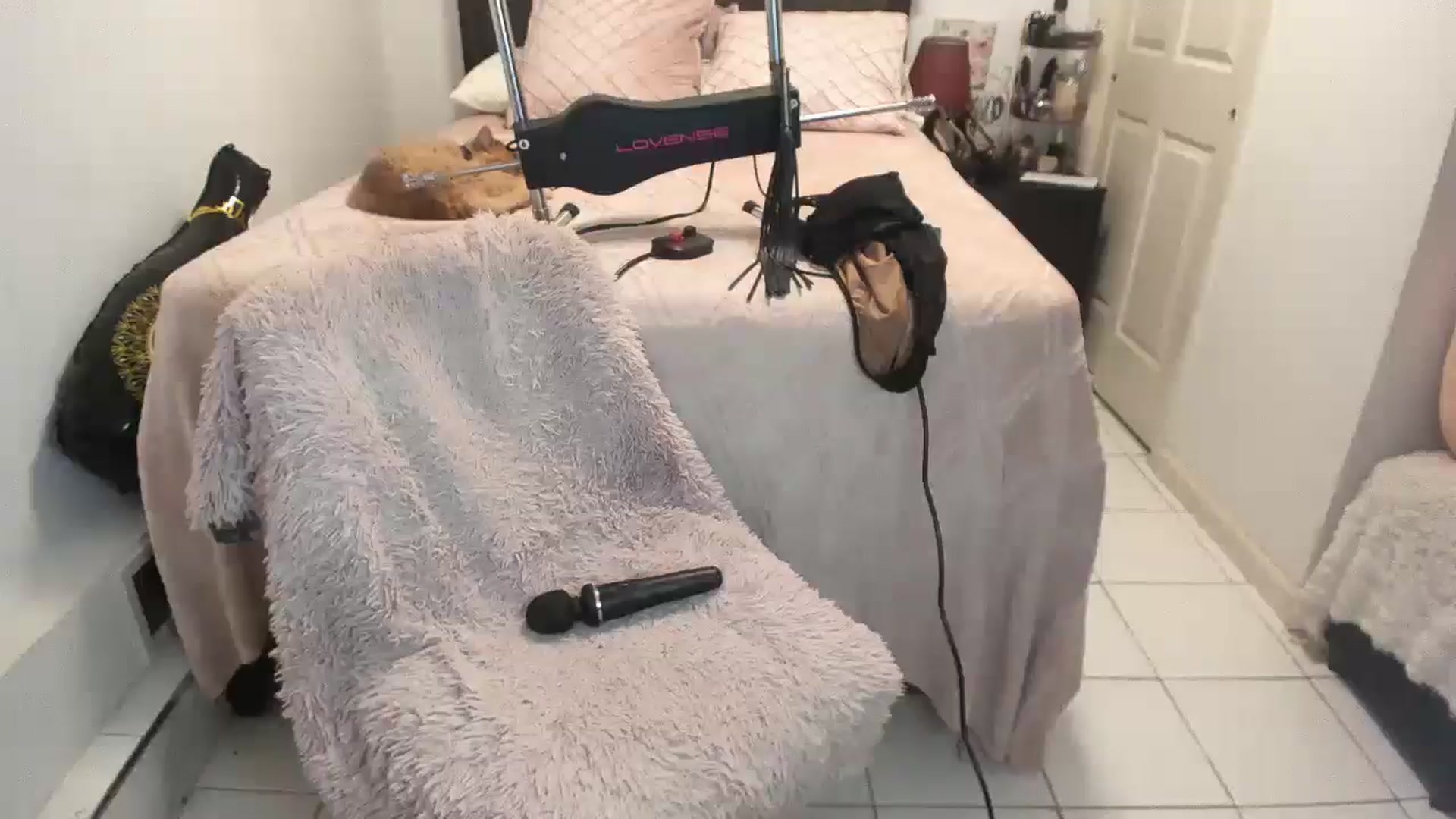 Gallery image thumbnail from DANIIITITIS's myfreecams stream on, 01/11/2026, 11:44 image 17 of 20