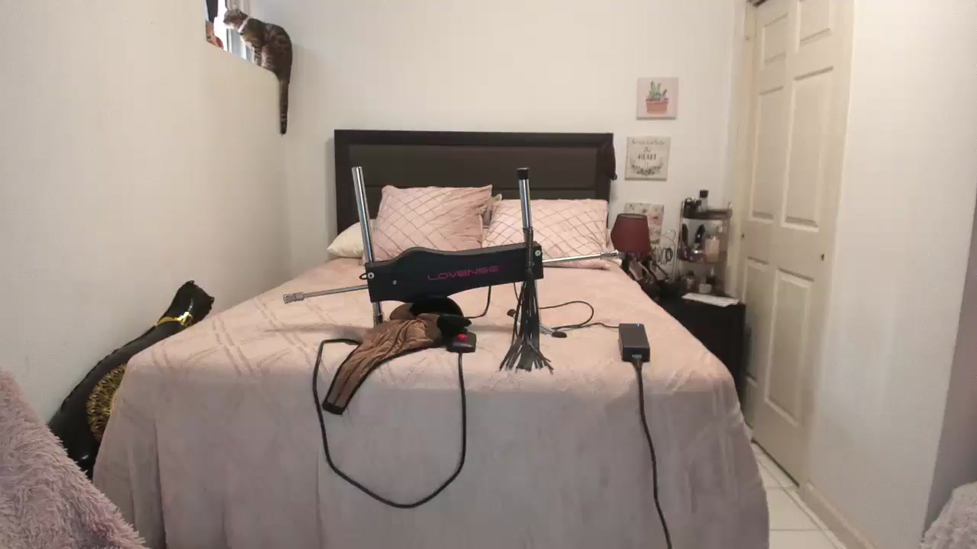 Gallery image thumbnail from DANIIITITIS's myfreecams stream on, 01/11/2026, 18:54 image 4 of 20