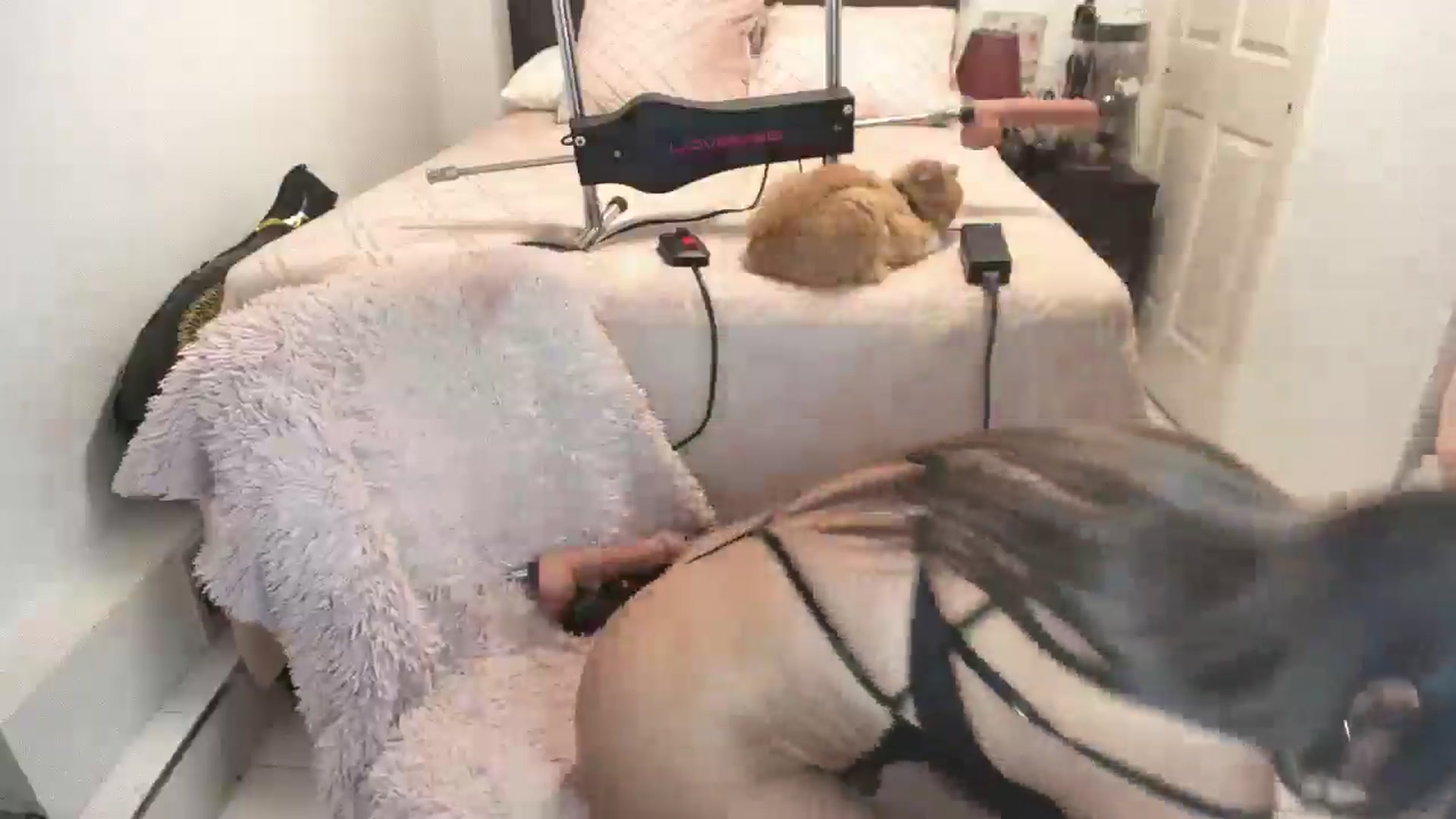 Gallery image thumbnail from DANIIITITIS's myfreecams stream on, 01/12/2026, 12:41 image 19 of 20