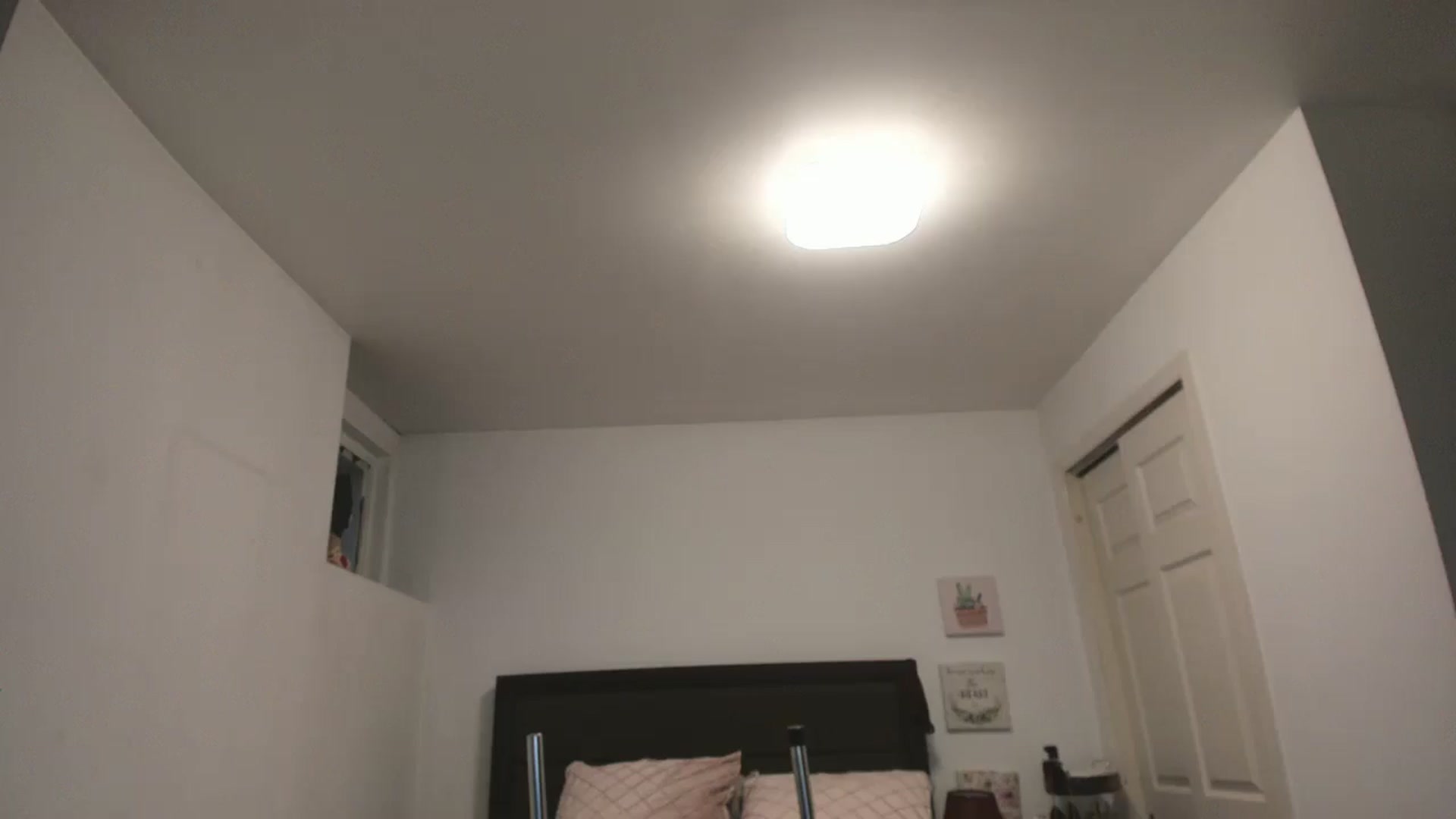 Gallery image thumbnail from DANIIITITIS's myfreecams stream on, 01/12/2026, 12:41 image 17 of 20