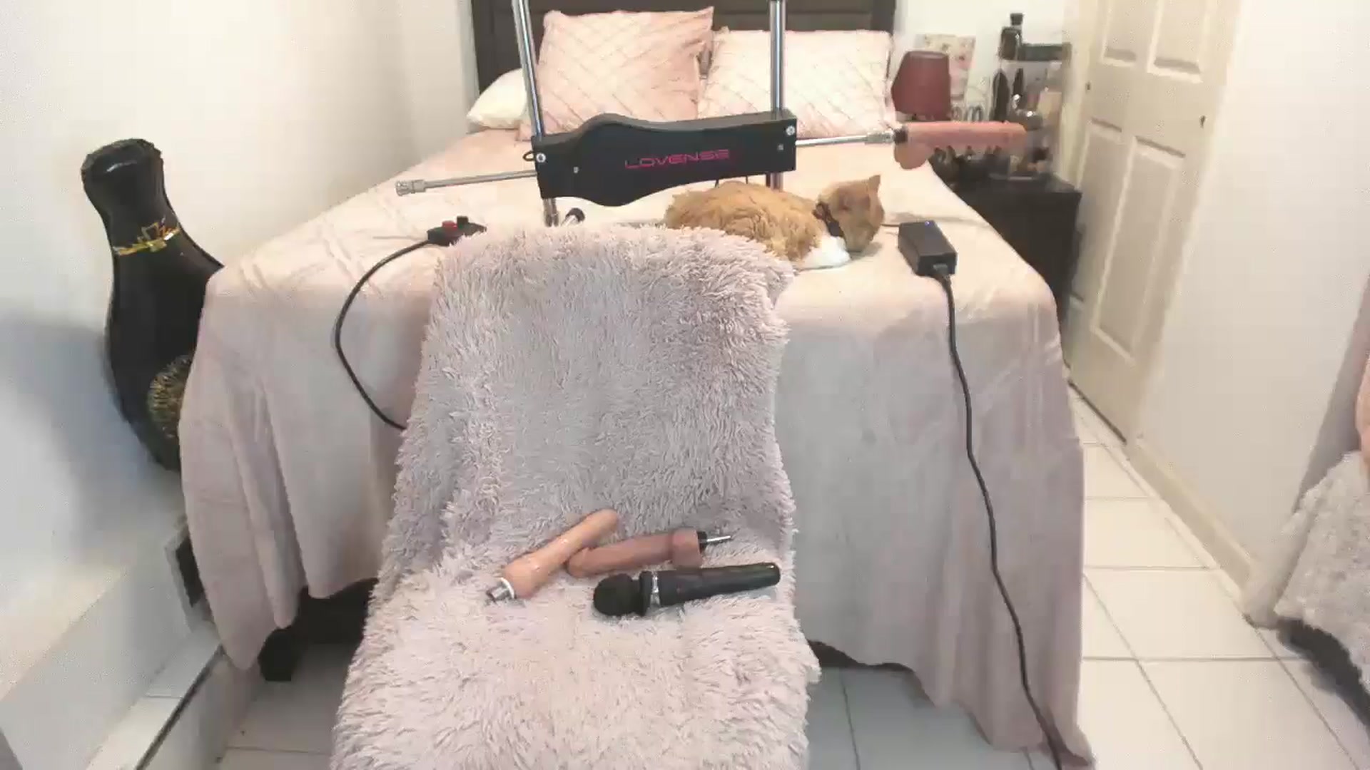 Gallery image thumbnail from DANIIITITIS's myfreecams stream on, 01/13/2026, 14:01 image 9 of 20