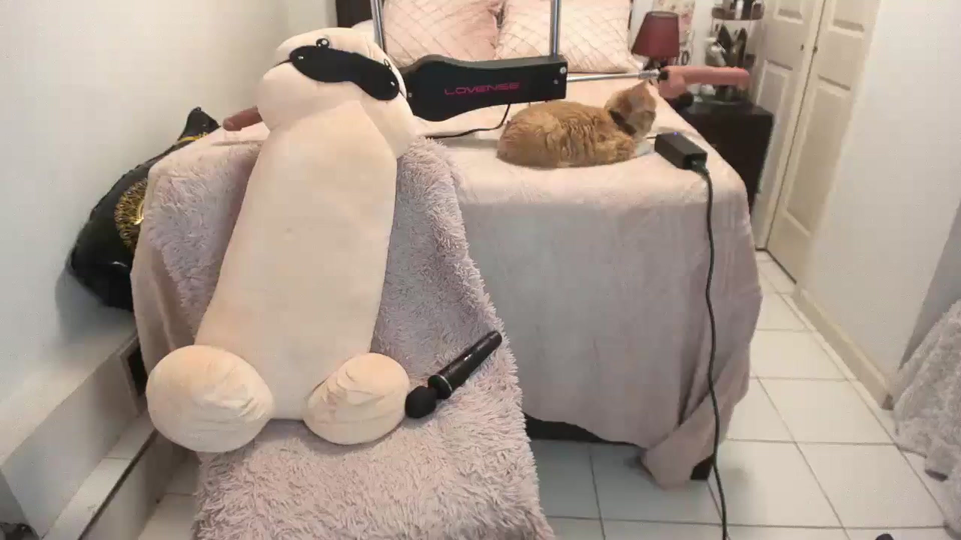 Gallery image thumbnail from DANIIITITIS's myfreecams stream on, 01/17/2026, 11:15 image 8 of 20