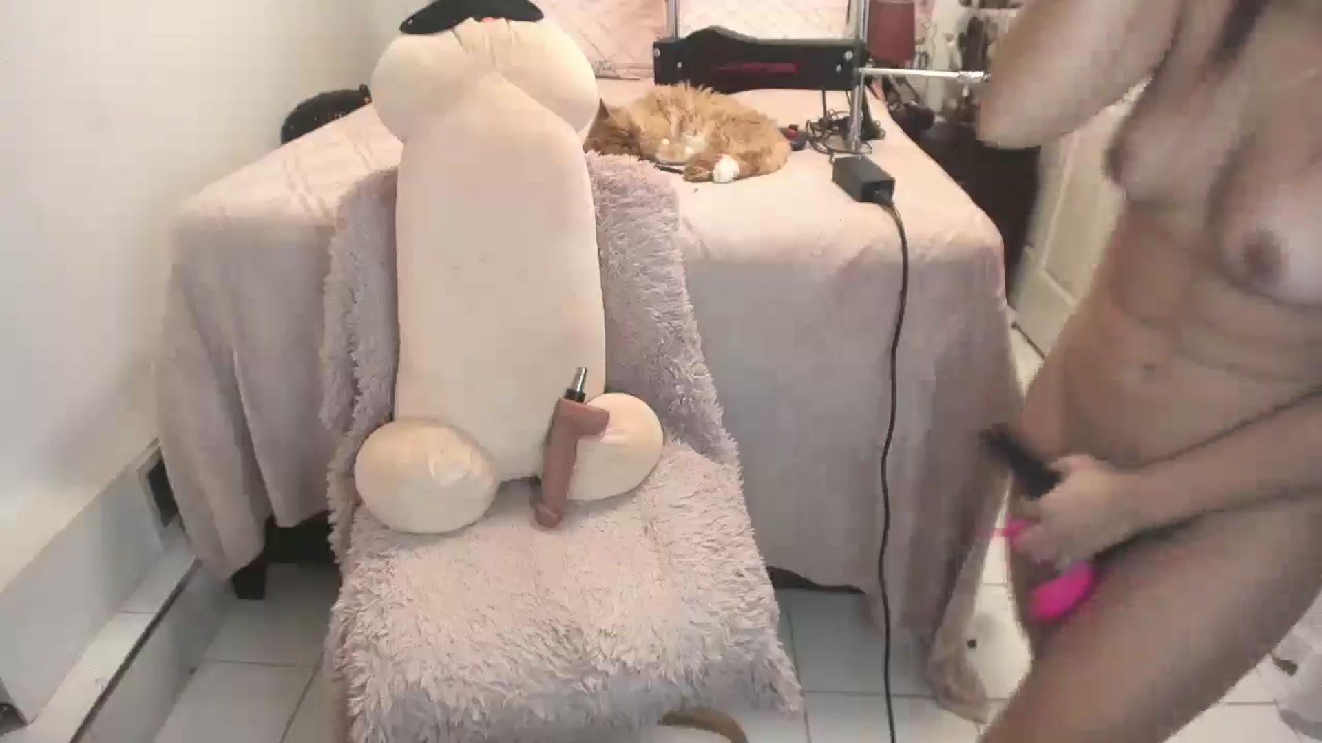 Gallery image thumbnail from DANIIITITIS's myfreecams stream on, 01/18/2026, 14:07 image 15 of 20