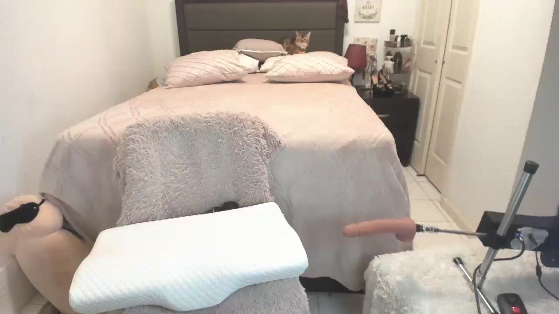 Gallery image thumbnail from DANIIITITIS's myfreecams stream on, 02/01/2026, 12:41 image 5 of 20