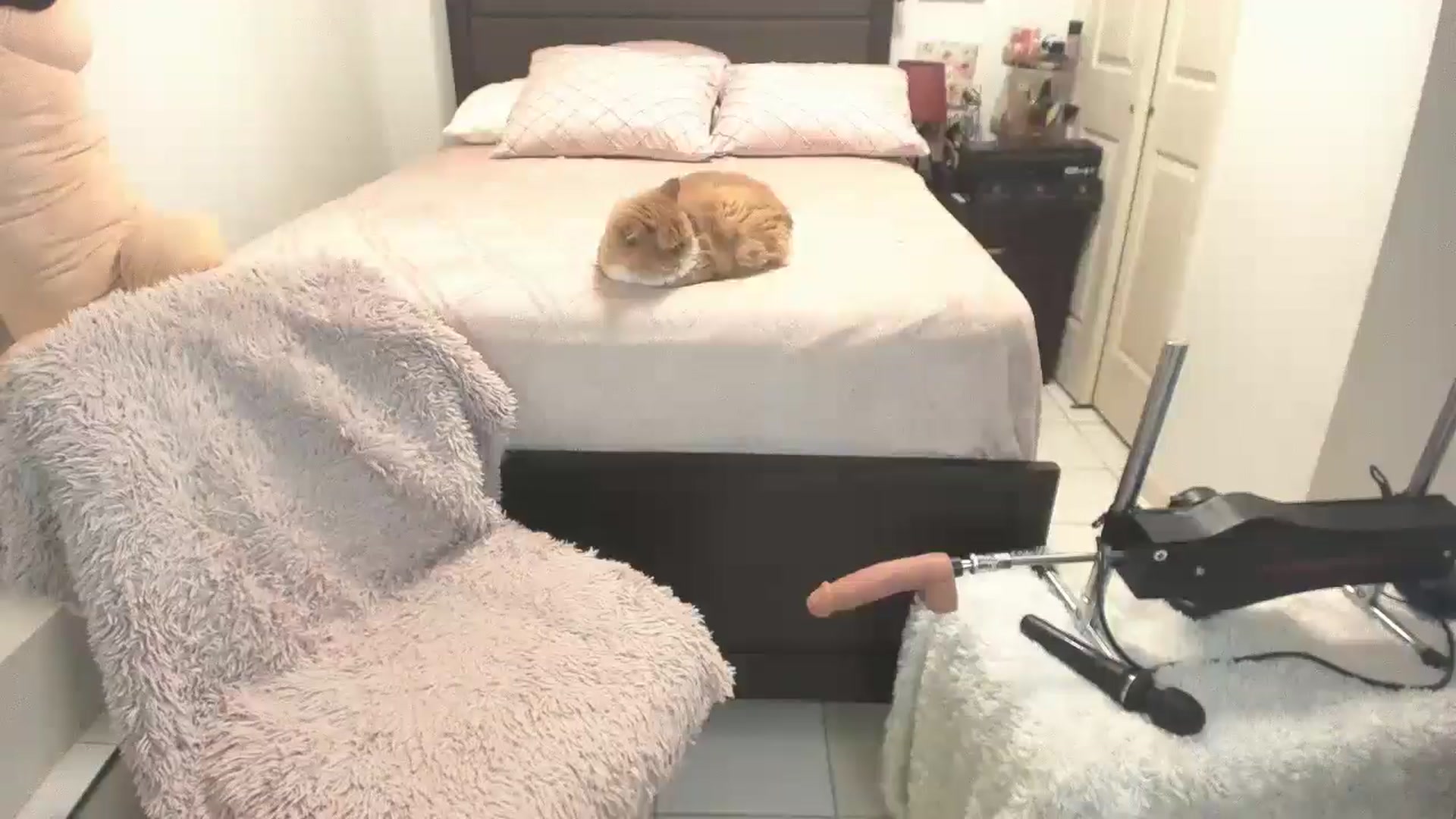 Gallery image thumbnail from DANIIITITIS's myfreecams stream on, 02/10/2026, 11:45 image 6 of 20