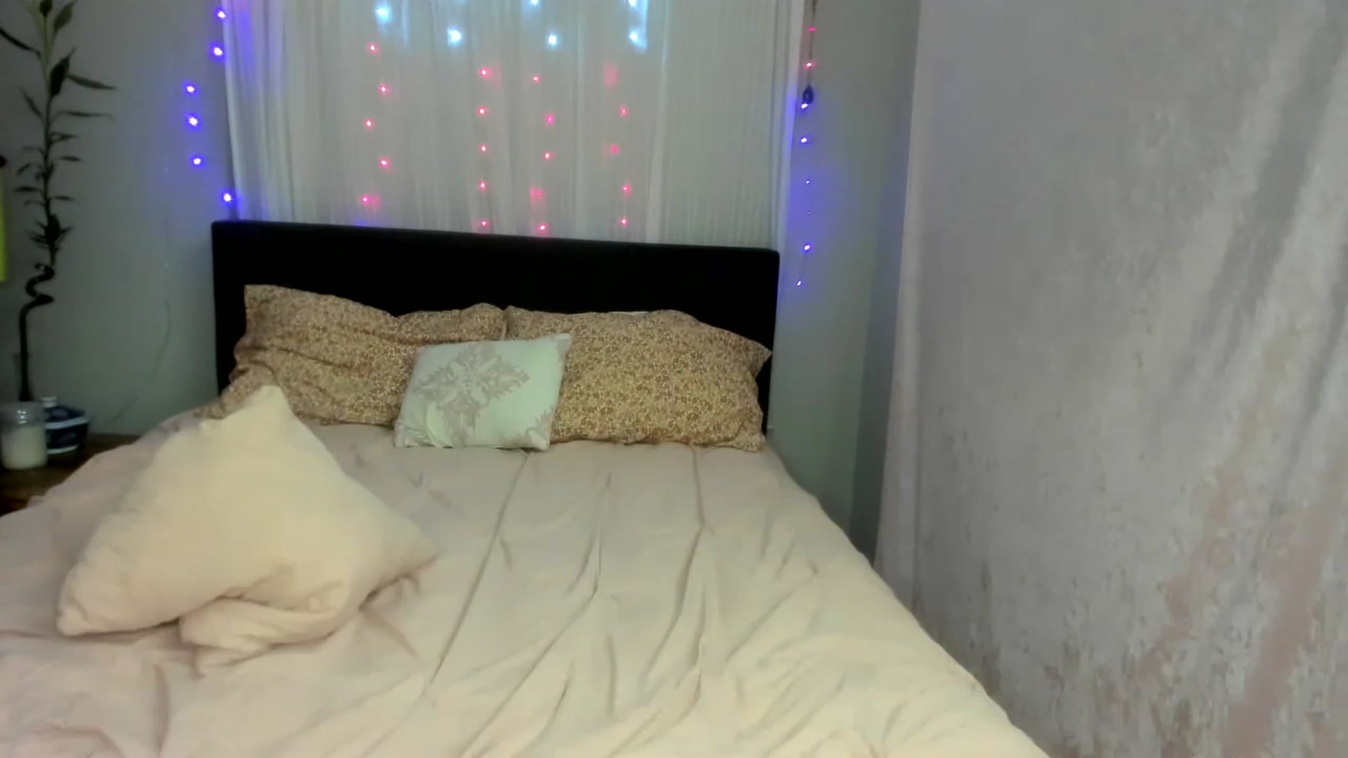 Gallery image thumbnail from DDelightful69's myfreecams stream on, 11/19/2022, 11:13 image 9 of 20