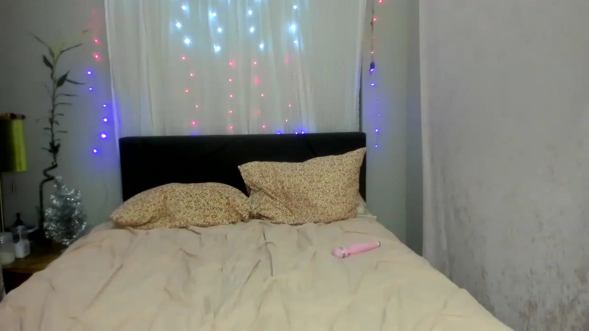Gallery image thumbnail from DDelightful69's myfreecams stream on, 12/08/2022, 10:03 image 19 of 20