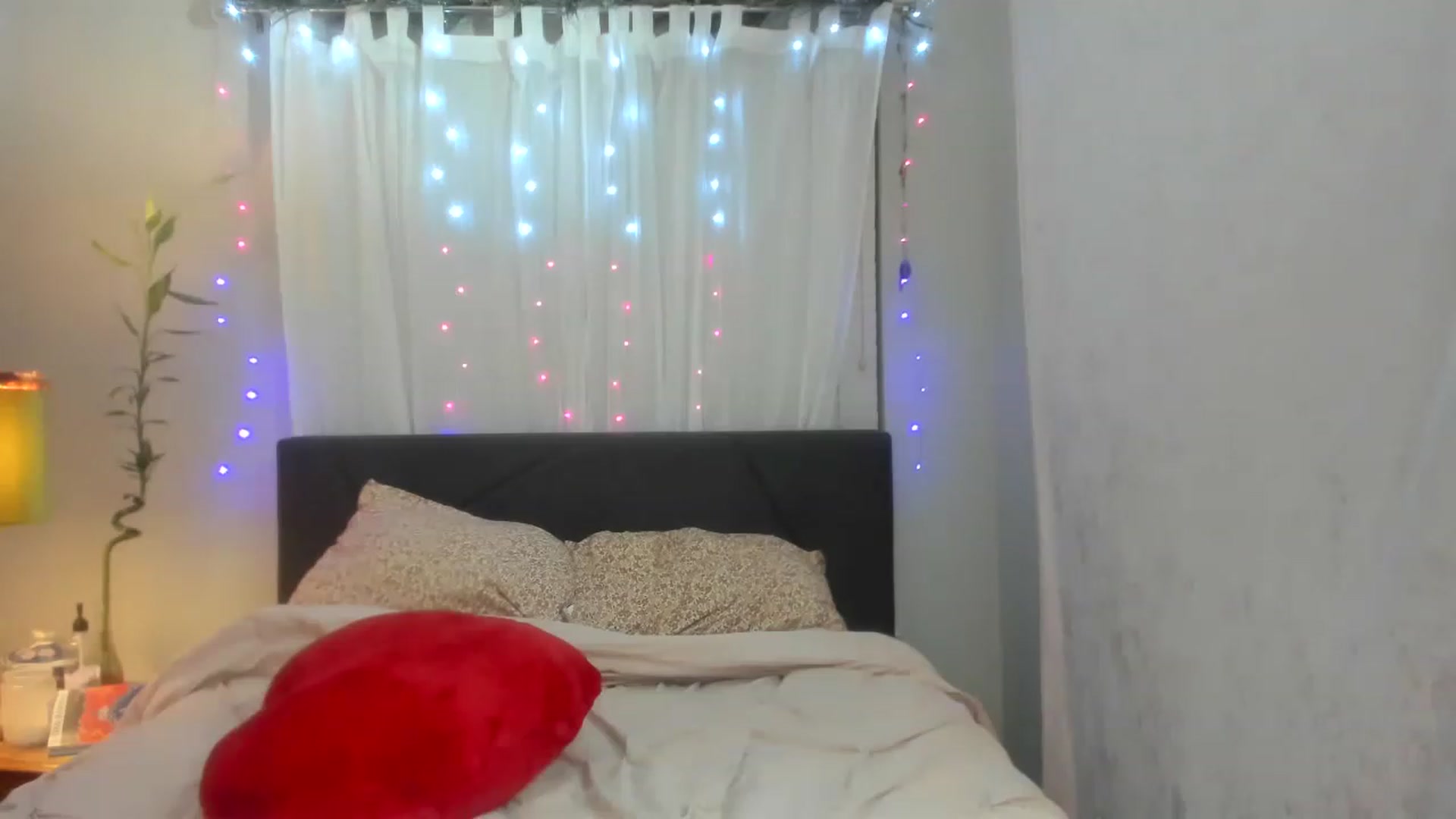 Gallery image thumbnail from DDelightful69's myfreecams stream on, 01/03/2023, 06:20 image 19 of 20