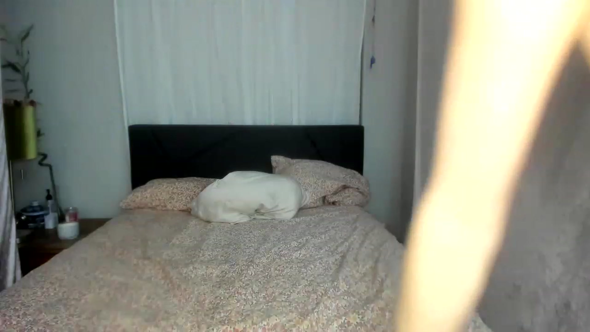 Gallery image thumbnail from DDelightful69's myfreecams stream on, 02/09/2023, 06:36 image 19 of 20